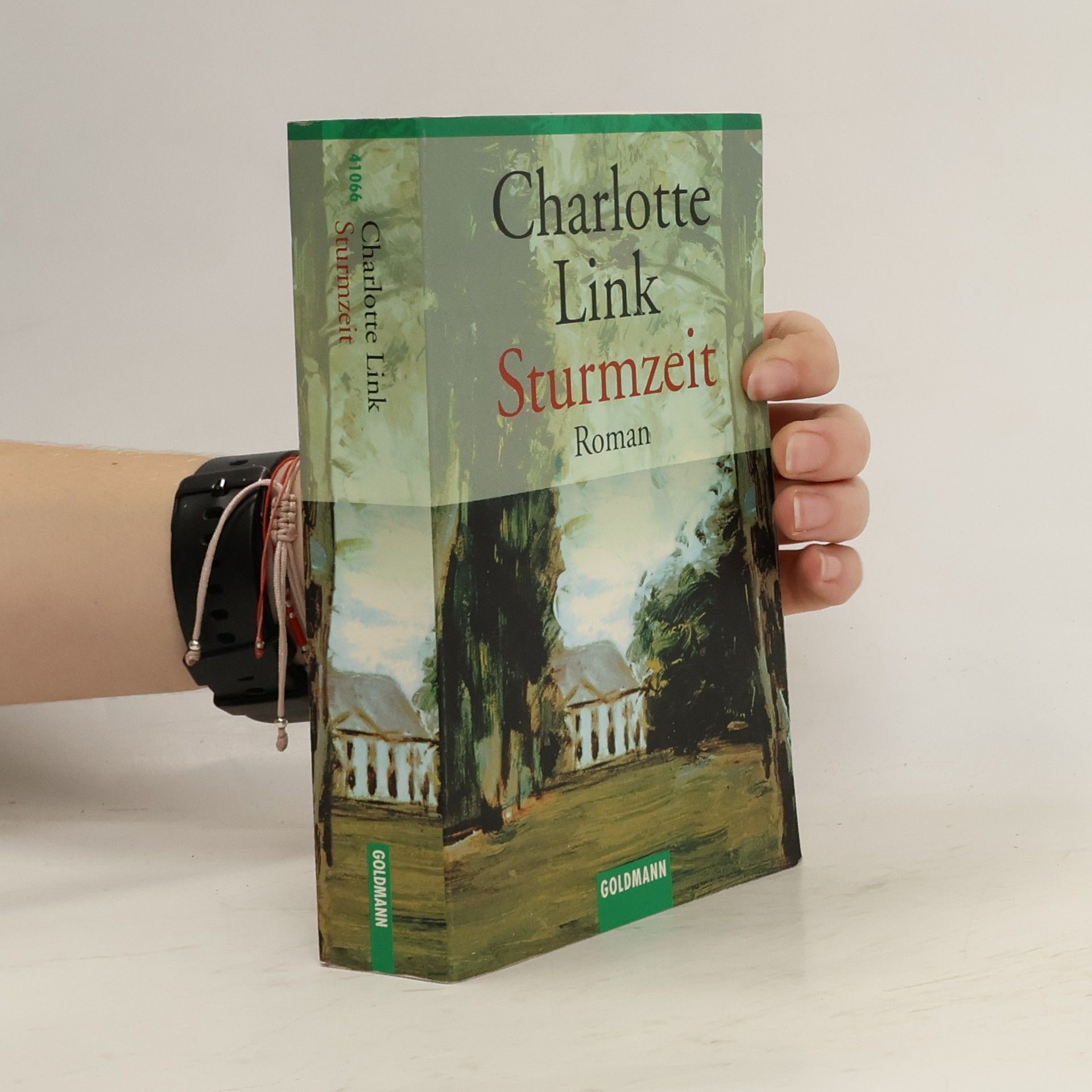 Charlotte Link Sturmzeit