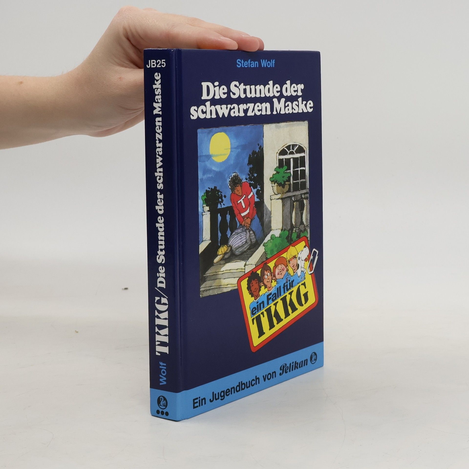 Stefan Wolf Die Stunde der schwarzen Maske