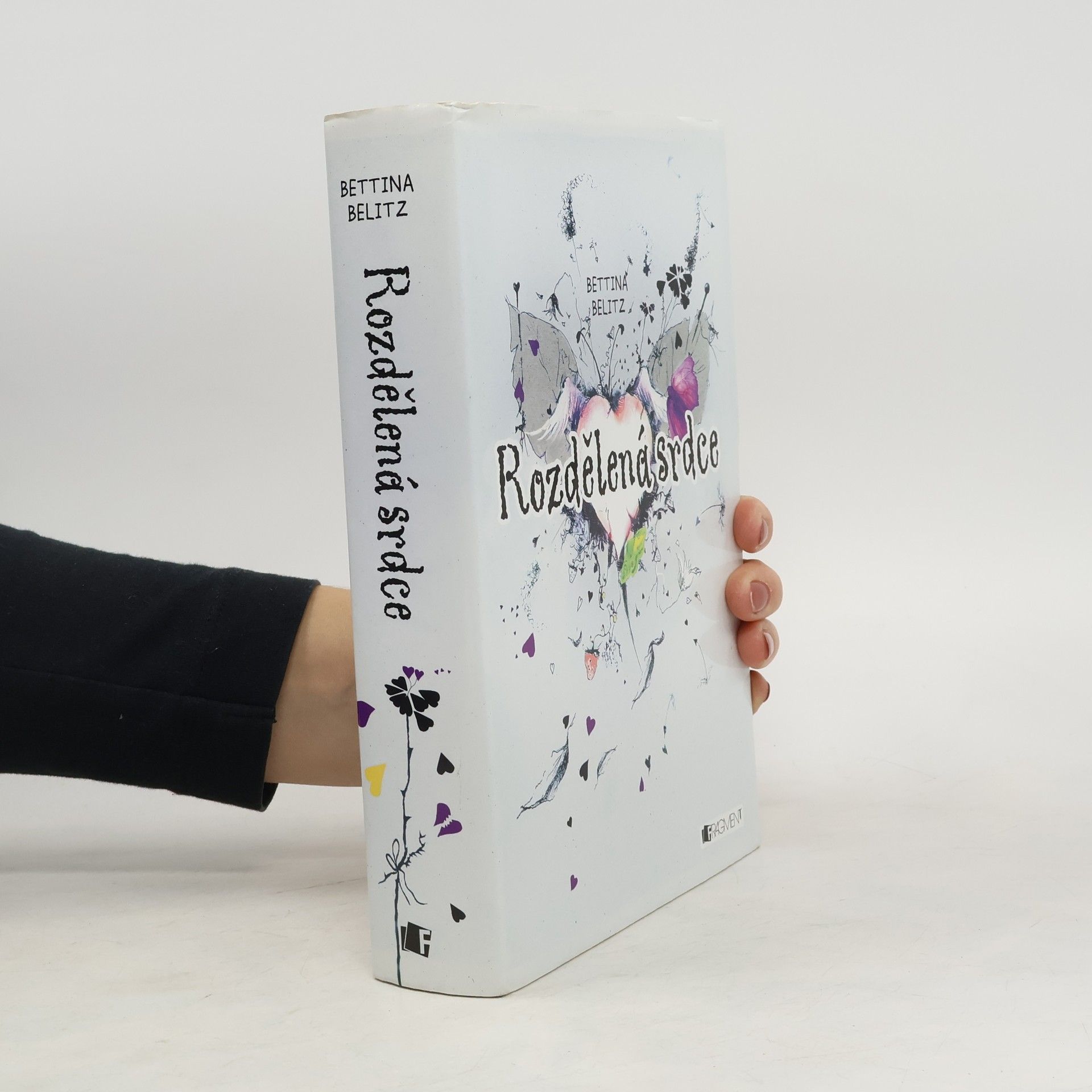 Bettina Belitz Rozdělená srdce