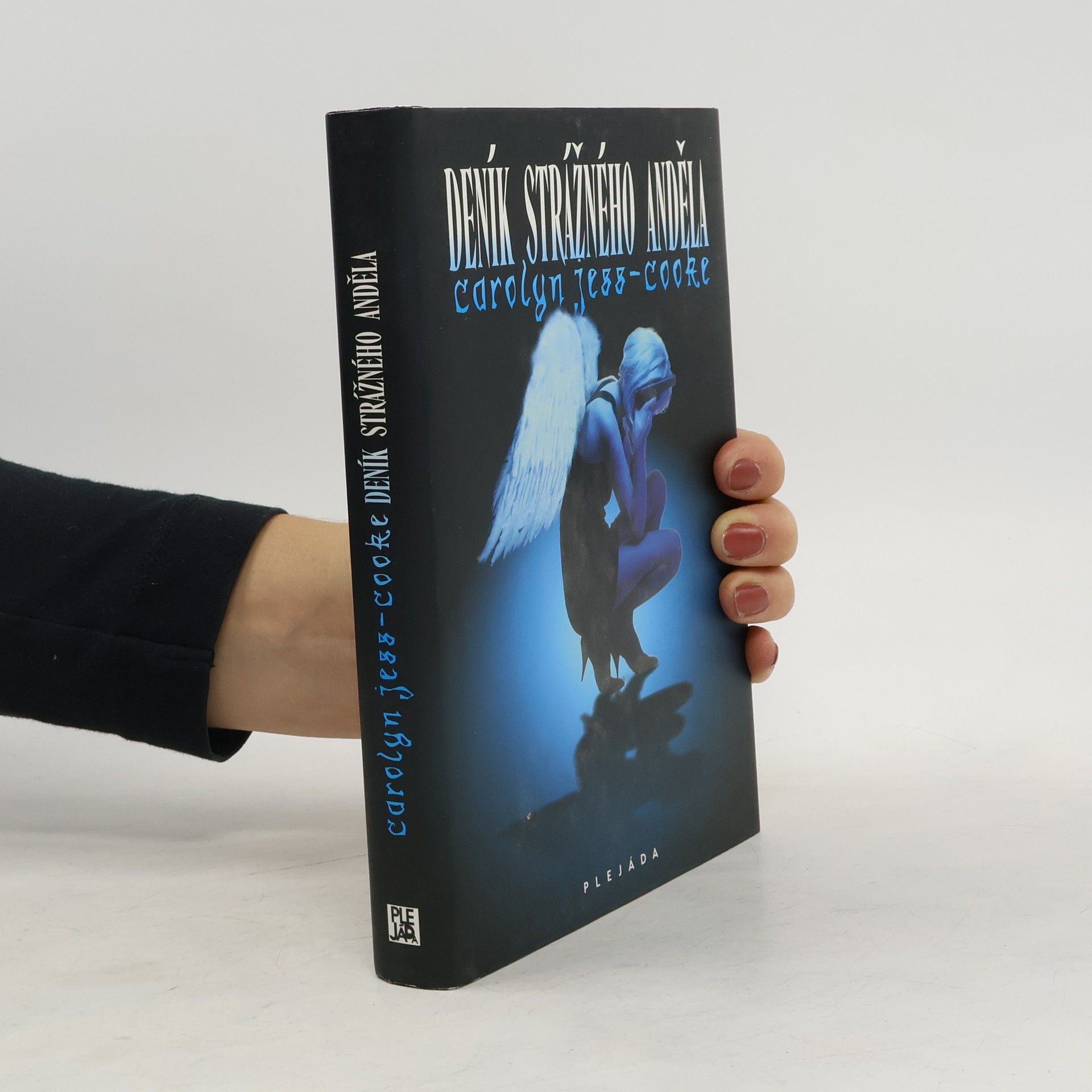 Carolyn Jess-Cooke Deník strážného anděla