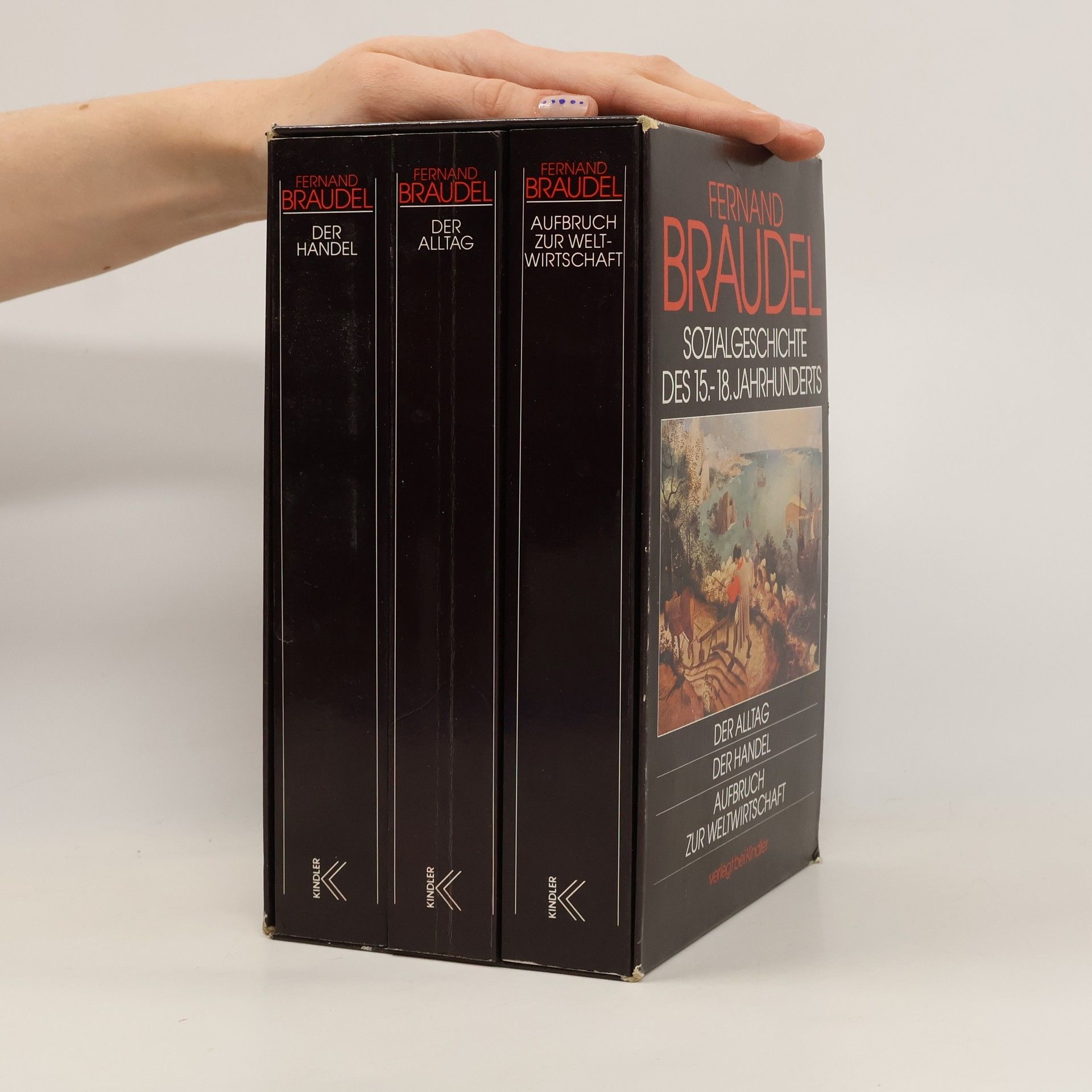 Fernand Braudel Sozialgeschichte des 15. - 18. Jahrhunderts