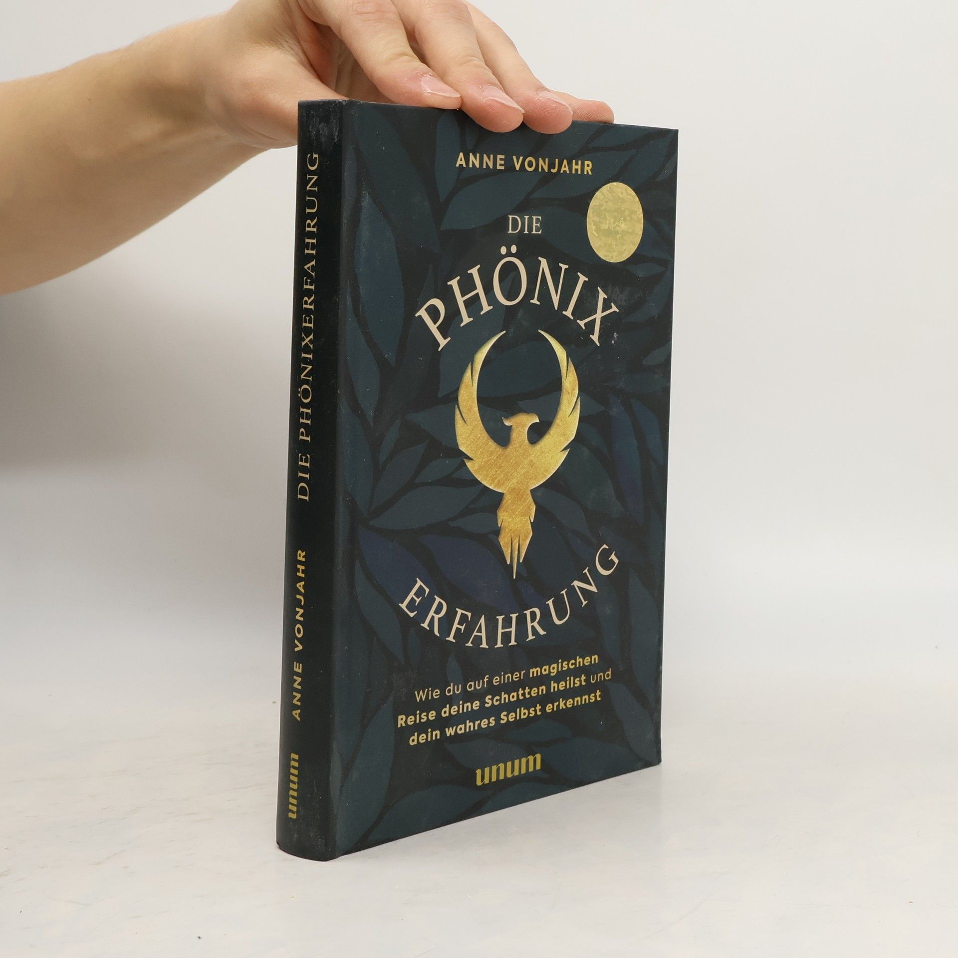 Die Phönixerfahrung