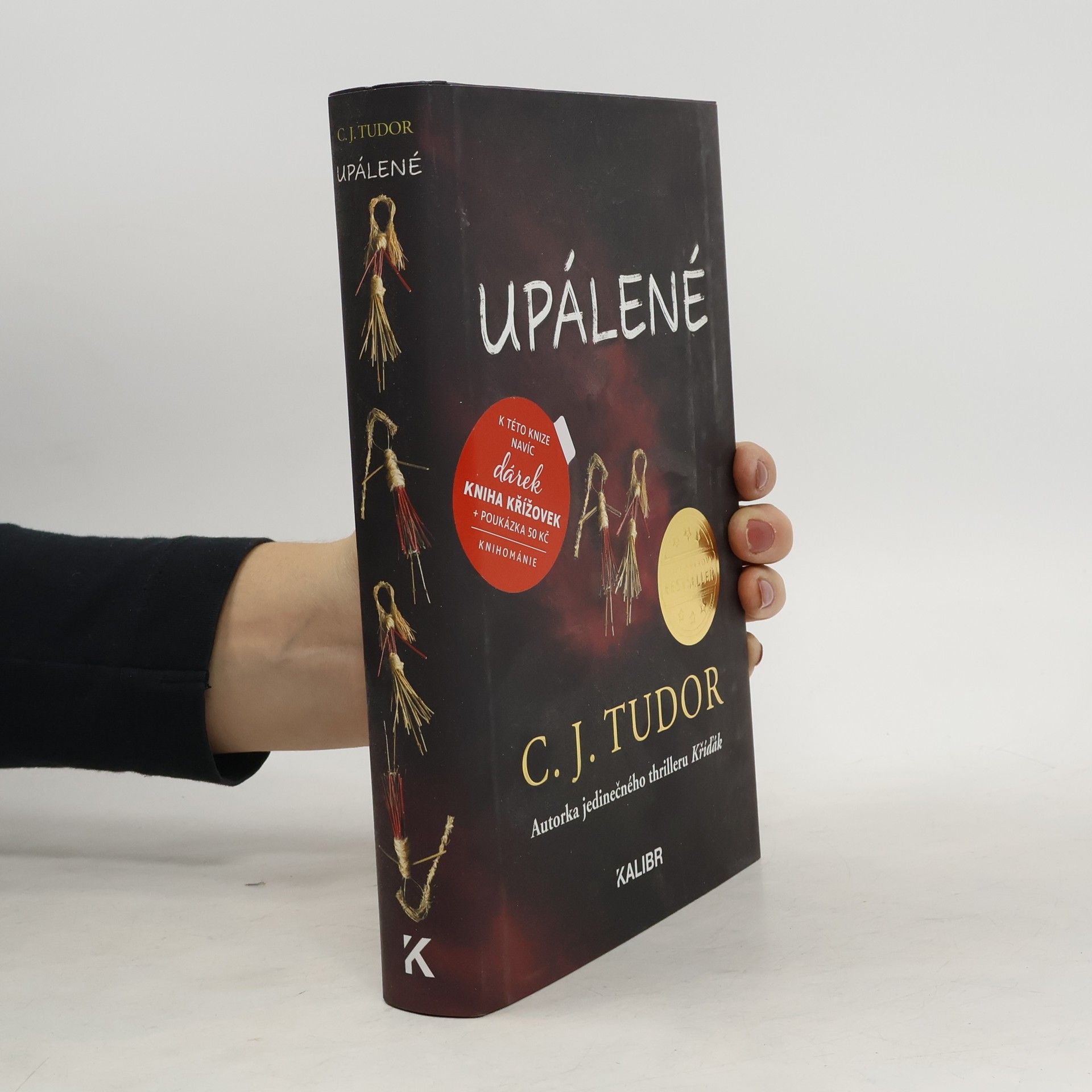 C. J. Tudor Upálené