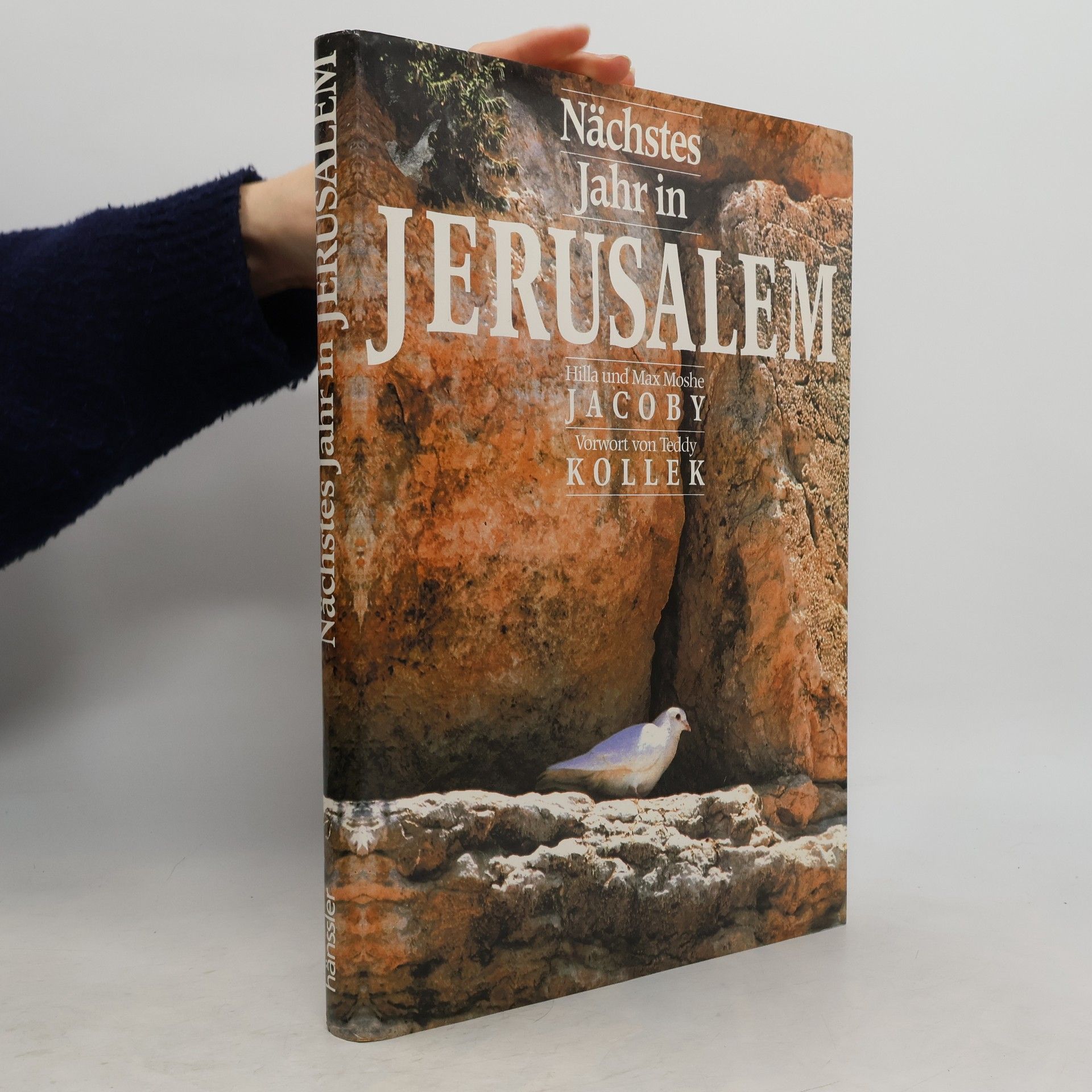 Nächstes Jahr in Jerusalem