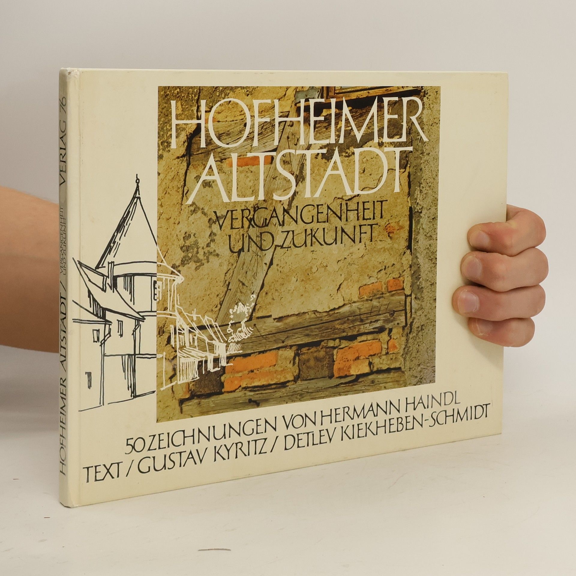 Hofheimer Altstadt, Vergangenheit und Zukunft