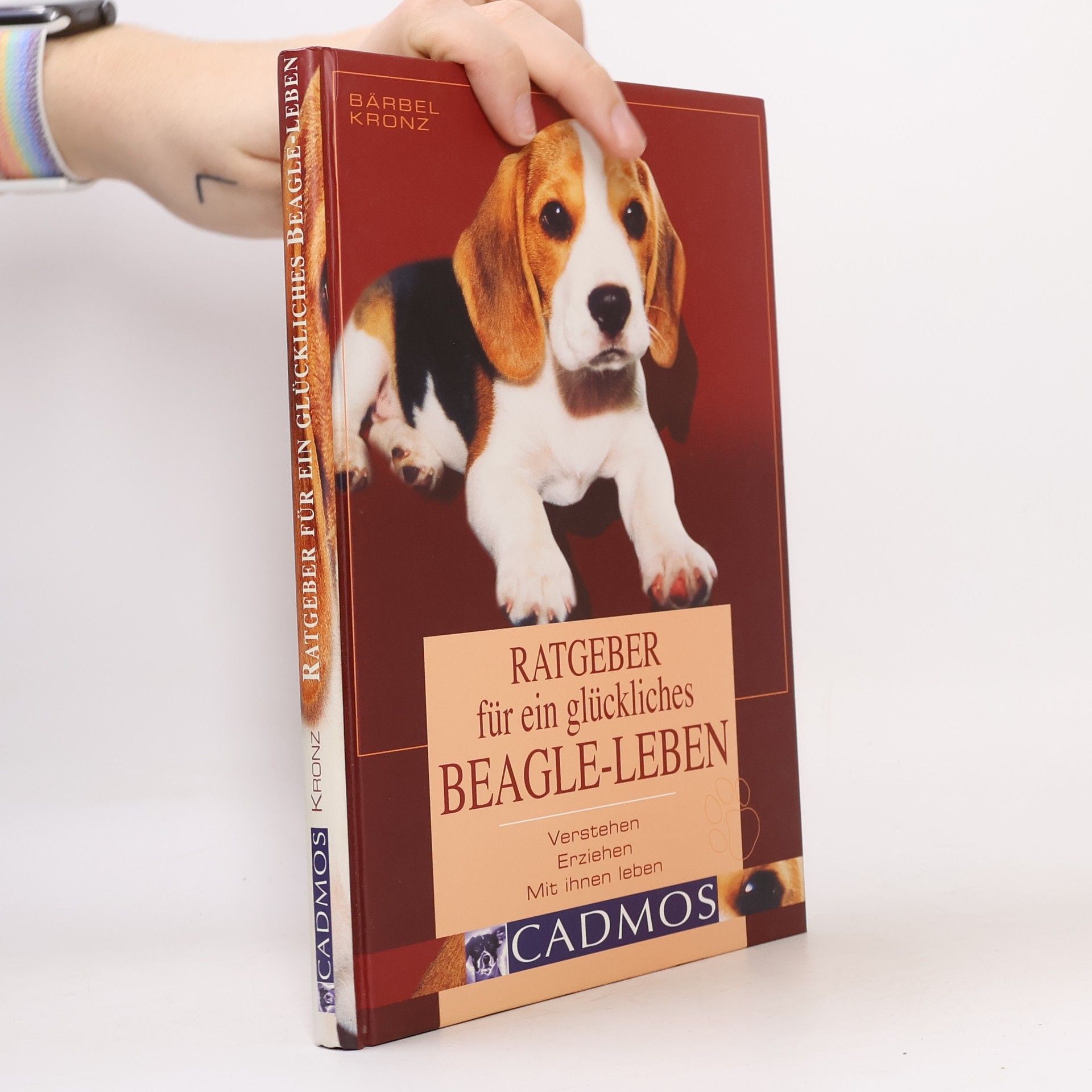 Ratgeber für ein glückliches Beagleleben