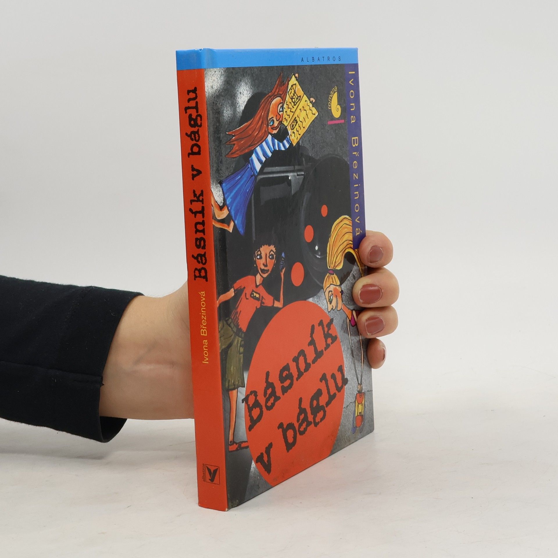 Ivona Březinová Básník v báglu