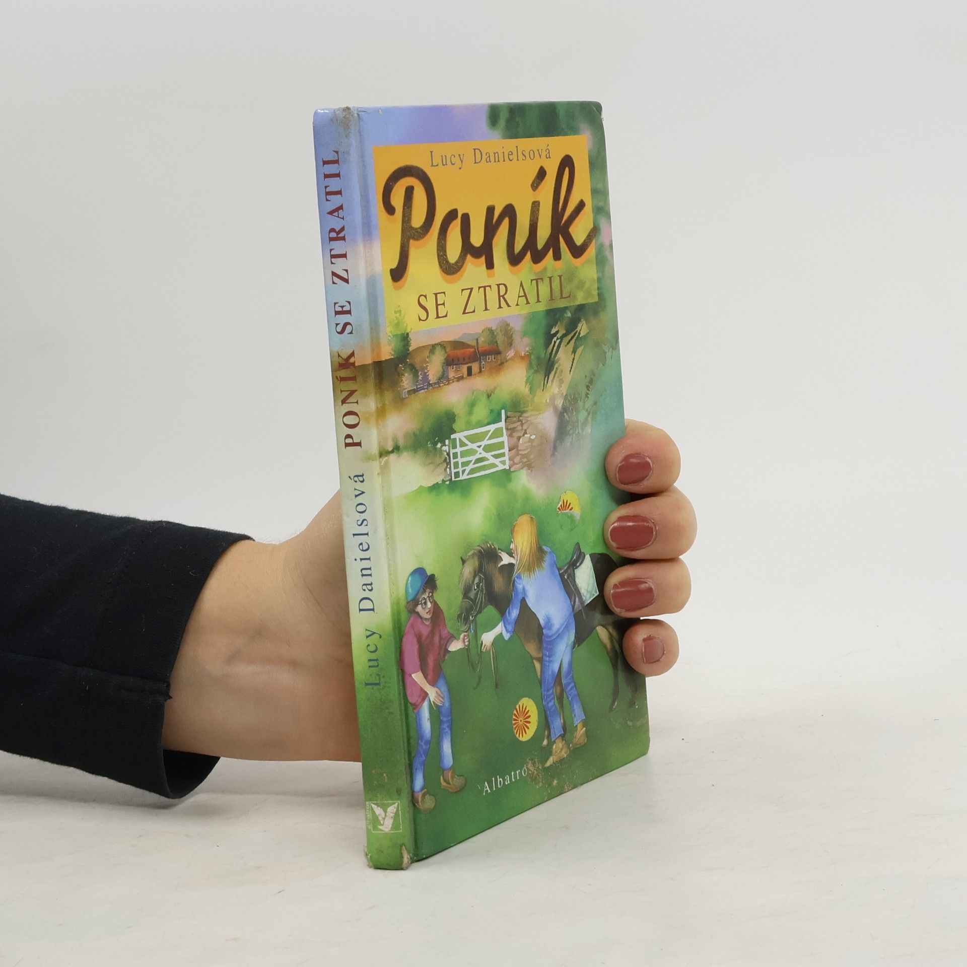 Lucy Daniels Poník se ztratil