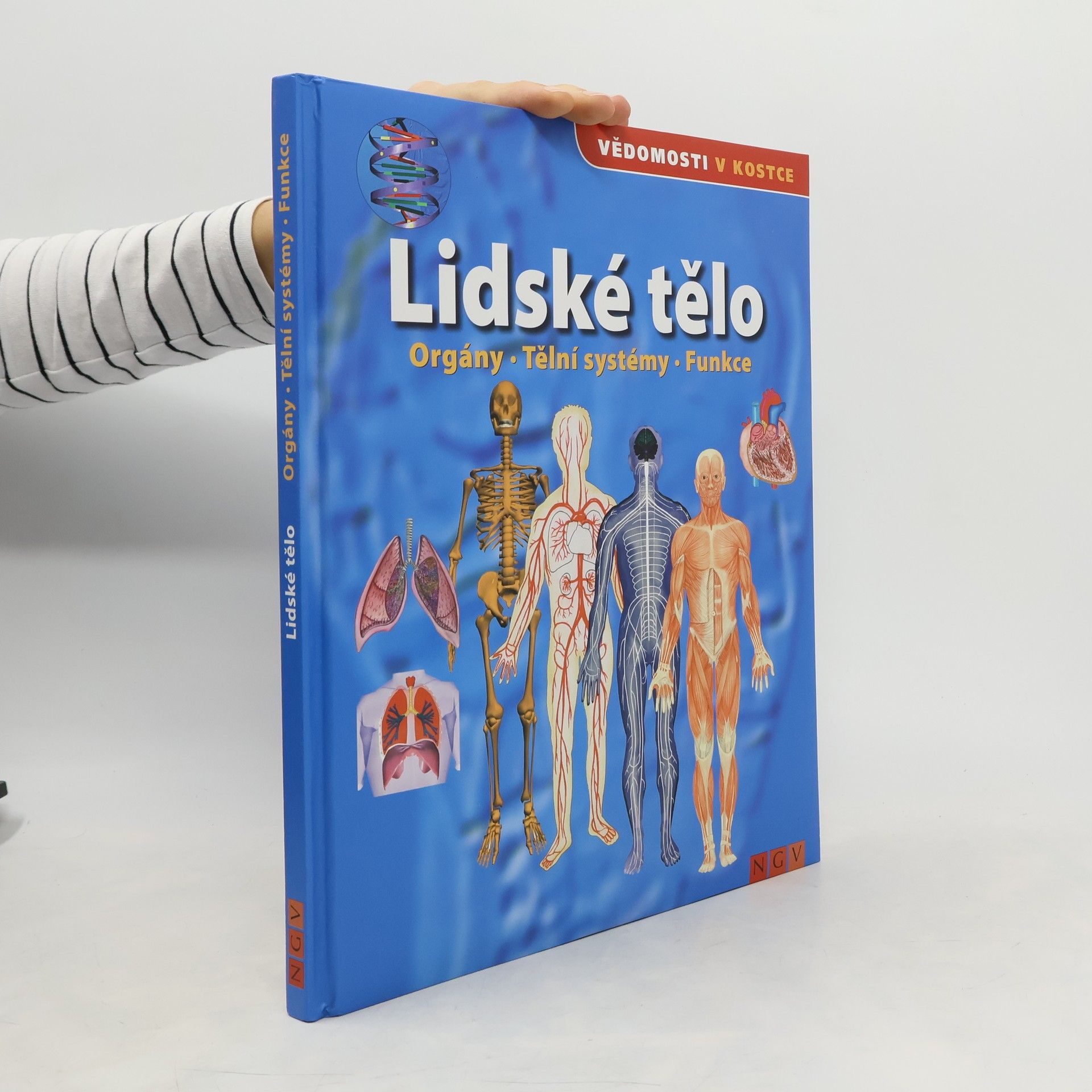 Autorenkollektiv Lidské tělo. Orgány. Tělní systémy. Funkce