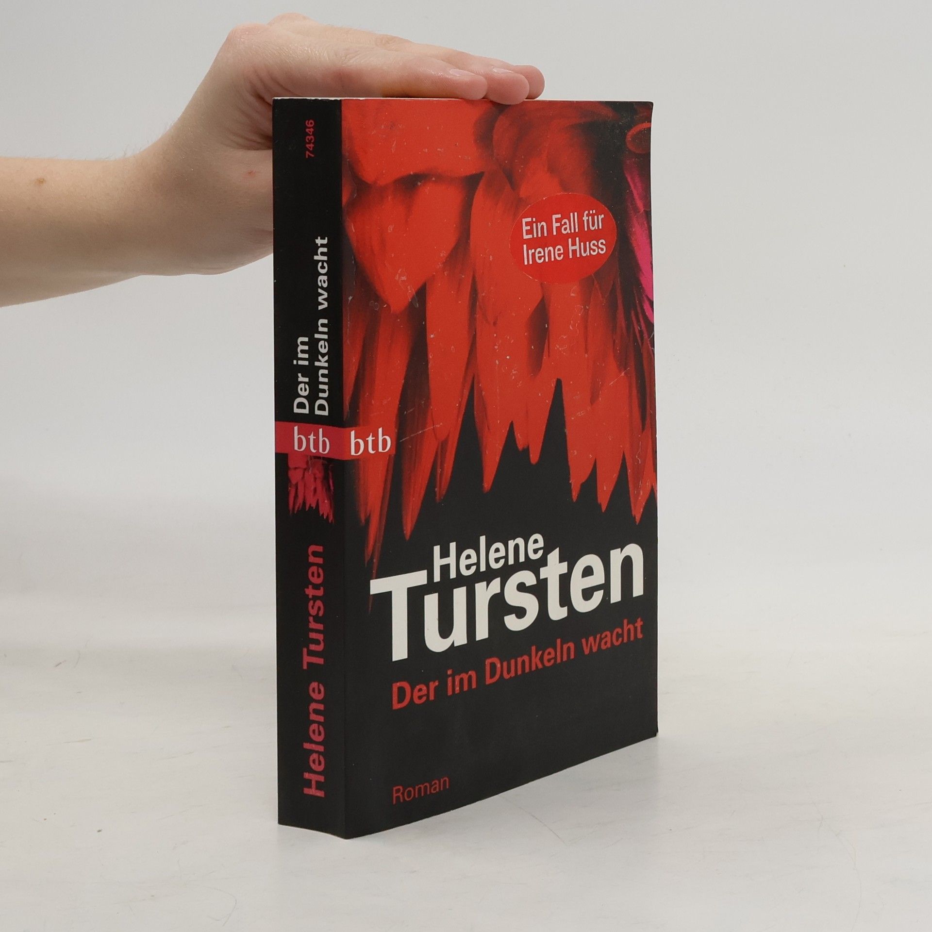 Helene Tursten Der im Dunkeln wacht