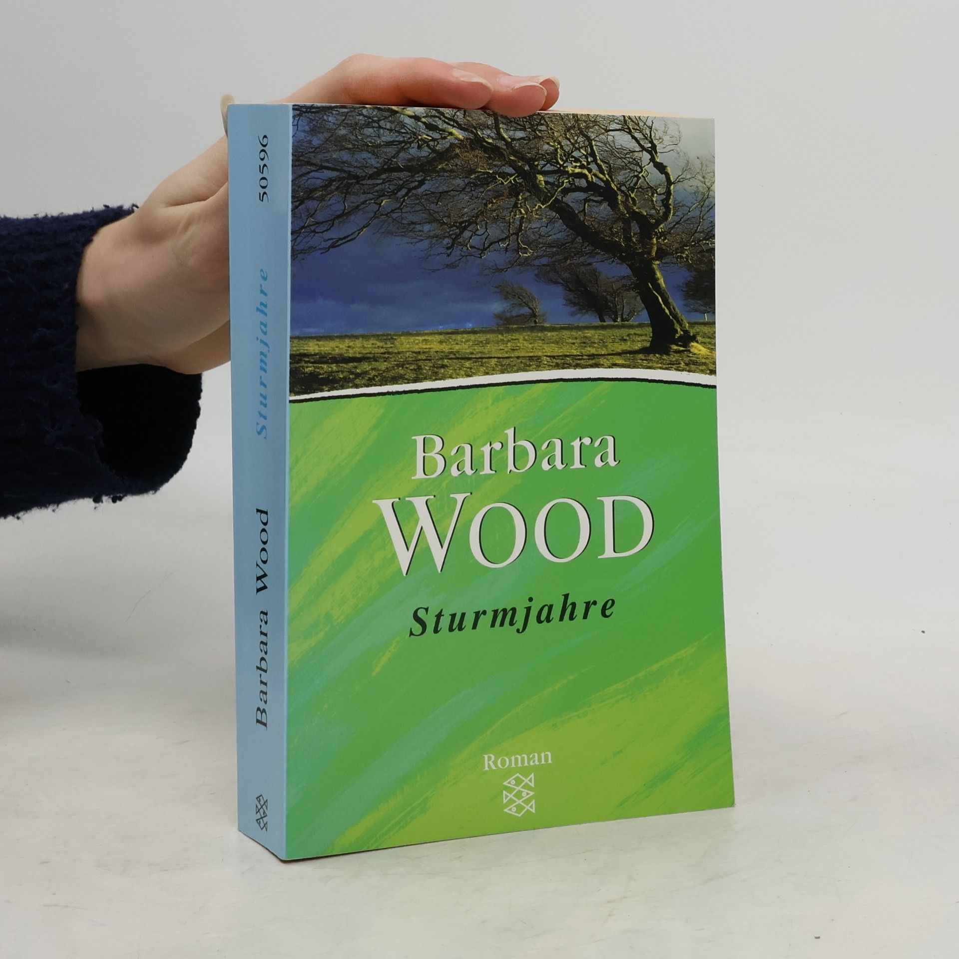 Barbara Wood Sturmjahre