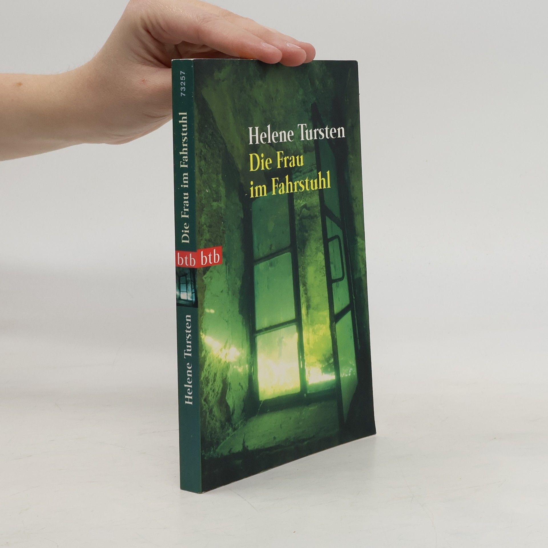 Helene Tursten Die Frau im Fahrstuhl