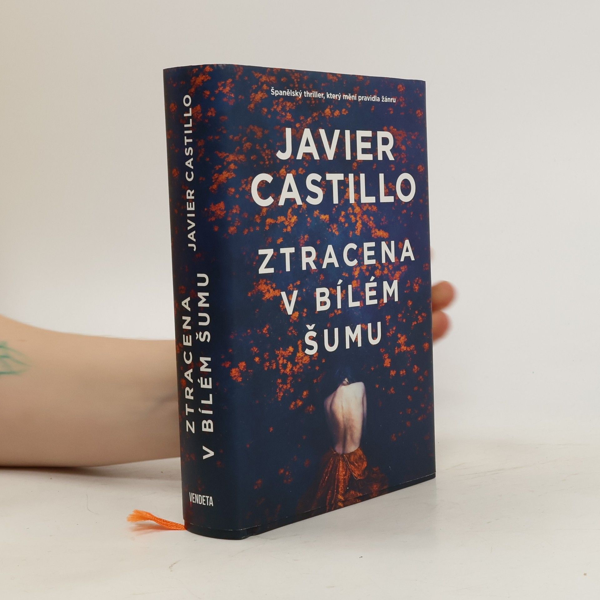 Javier Castillo Ztracena v bílém šumu