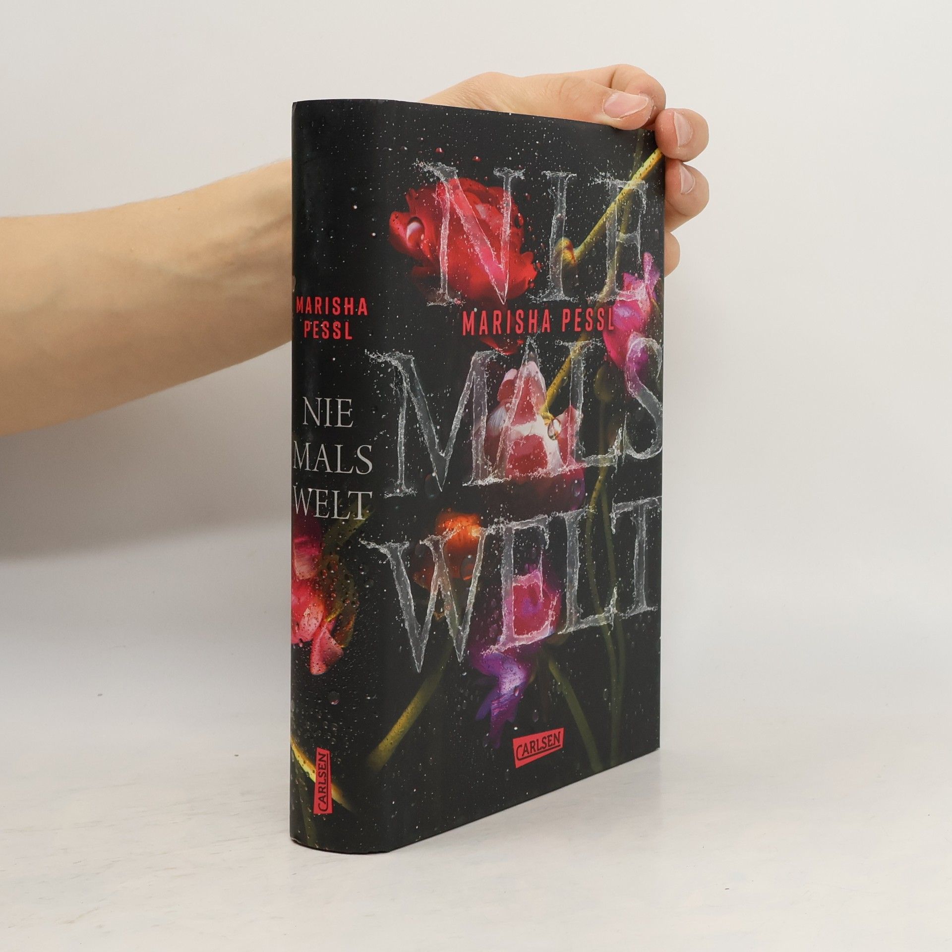 Marisha Pessl Niemalswelt