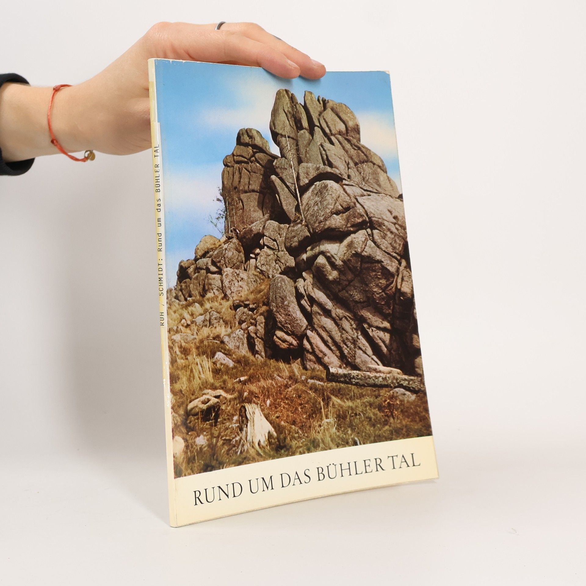 Rund um das Bühler Tal