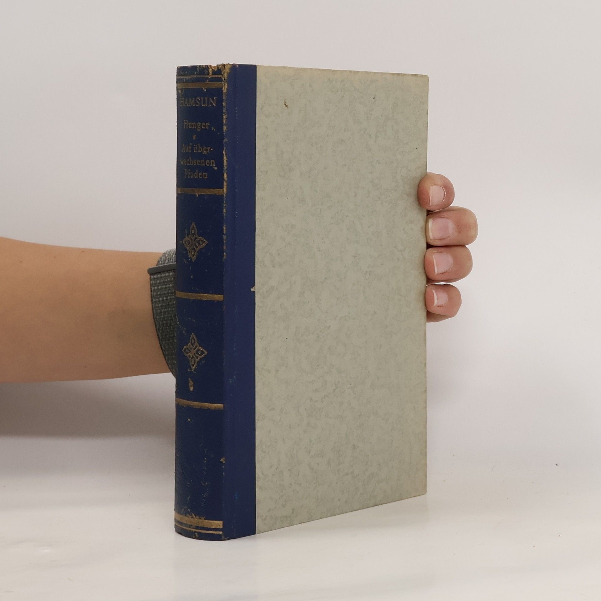 Knut Hamsun Hunger. Auf überwachsenen Pfaden