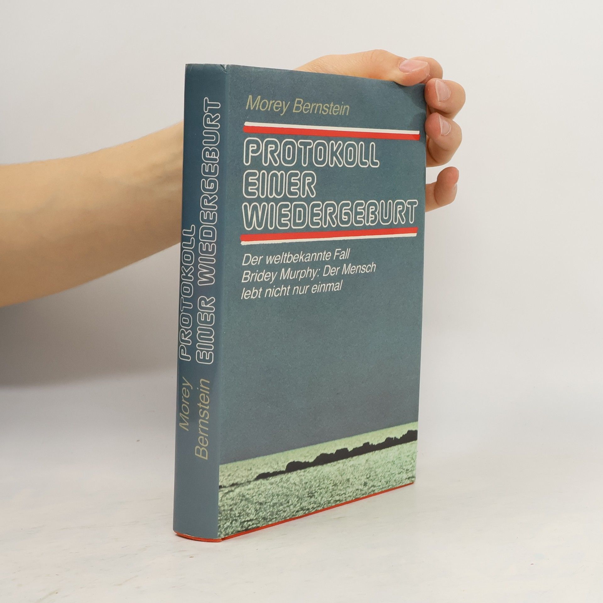 Morey Bernstein Protokoll einer Wiedergeburt