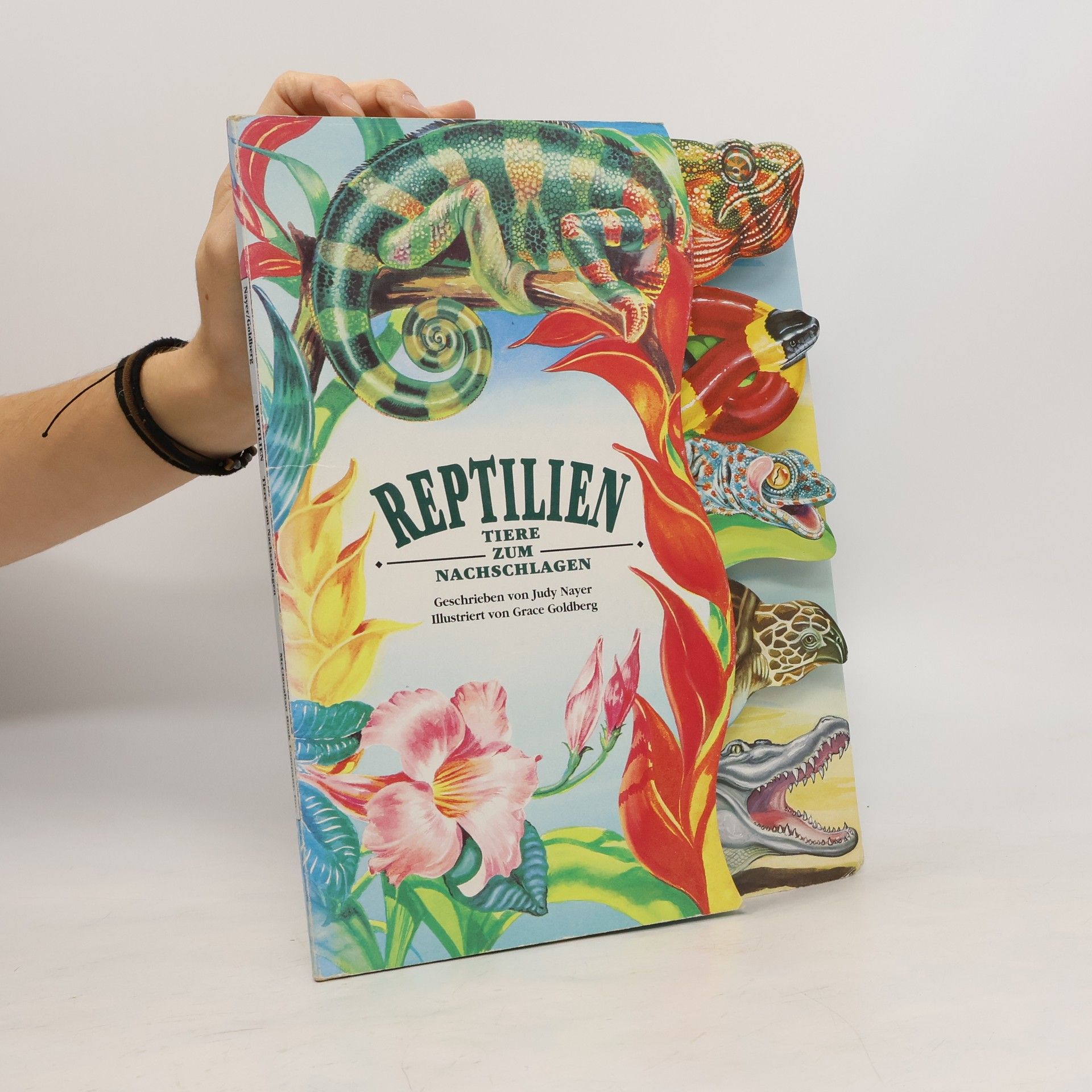 Reptilien Tiere zum Nachschlanger