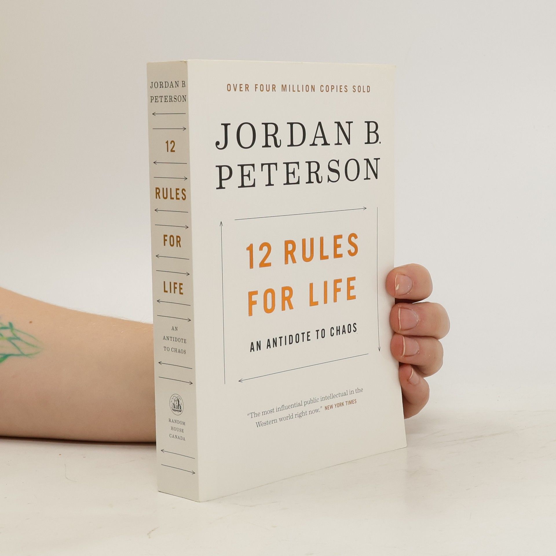 Jordan Peterson 12 Rules for Life