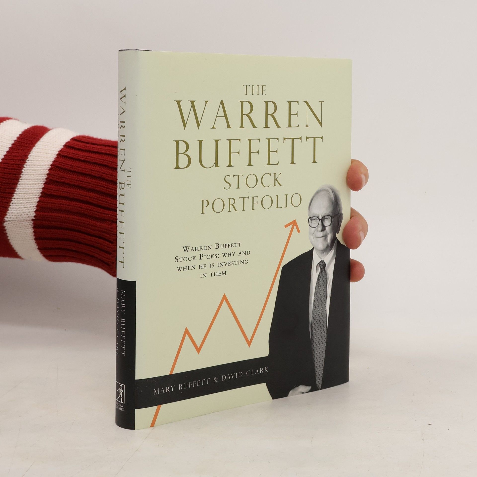 Mary Buffett The Warren Buffett Stock Portfolio