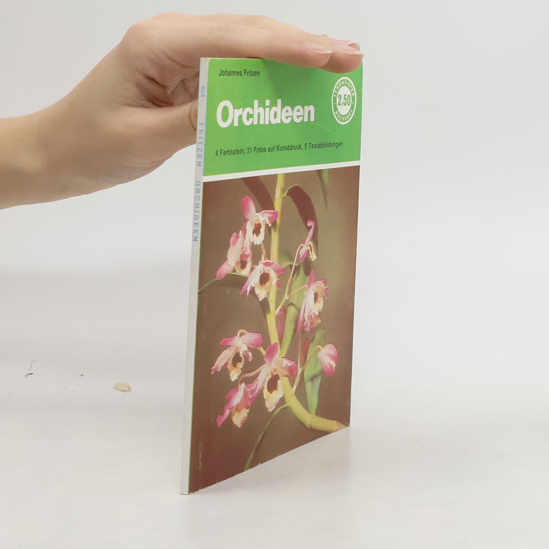 Orchideen