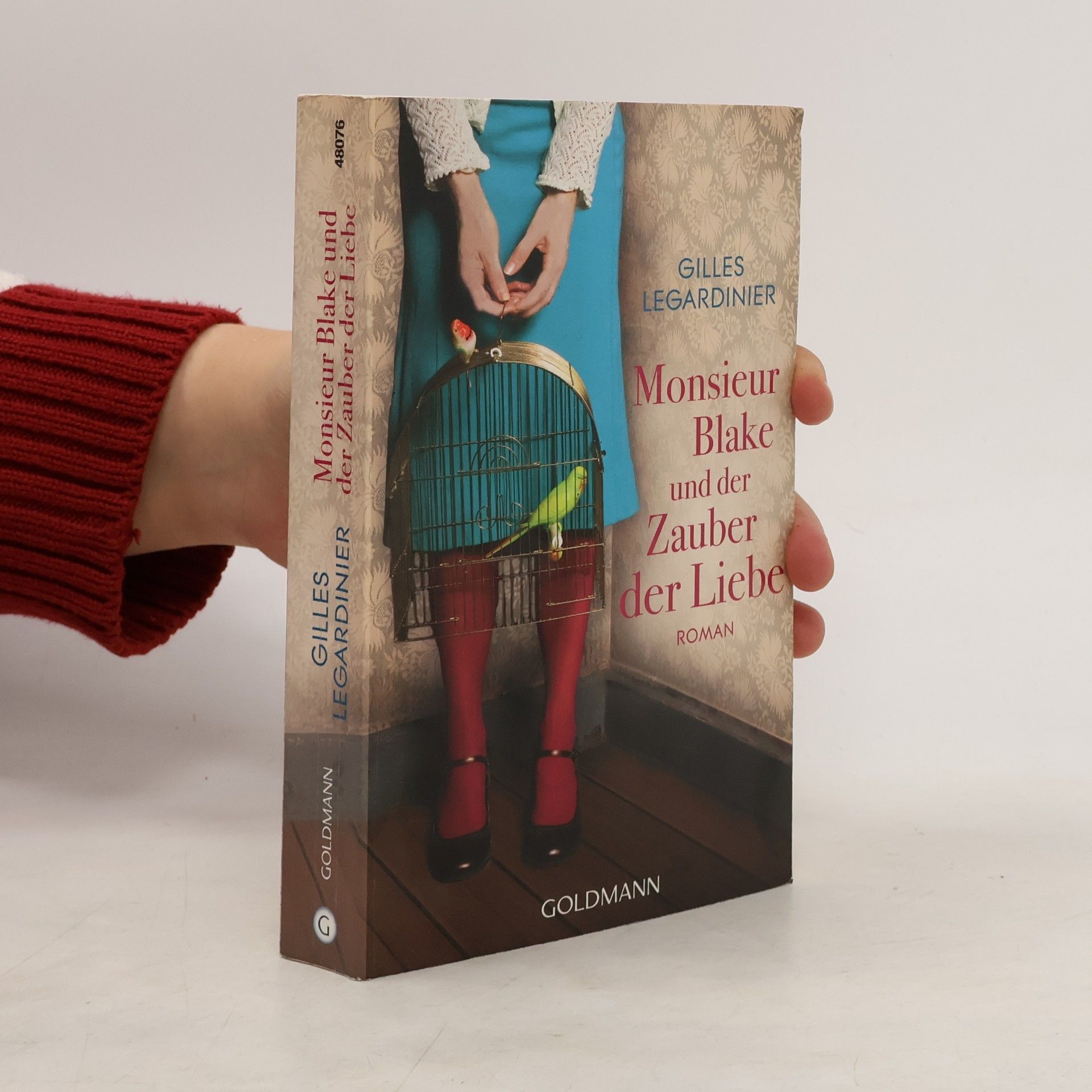 Gilles Legardinier Monsieur Blake und der Zauber der Liebe