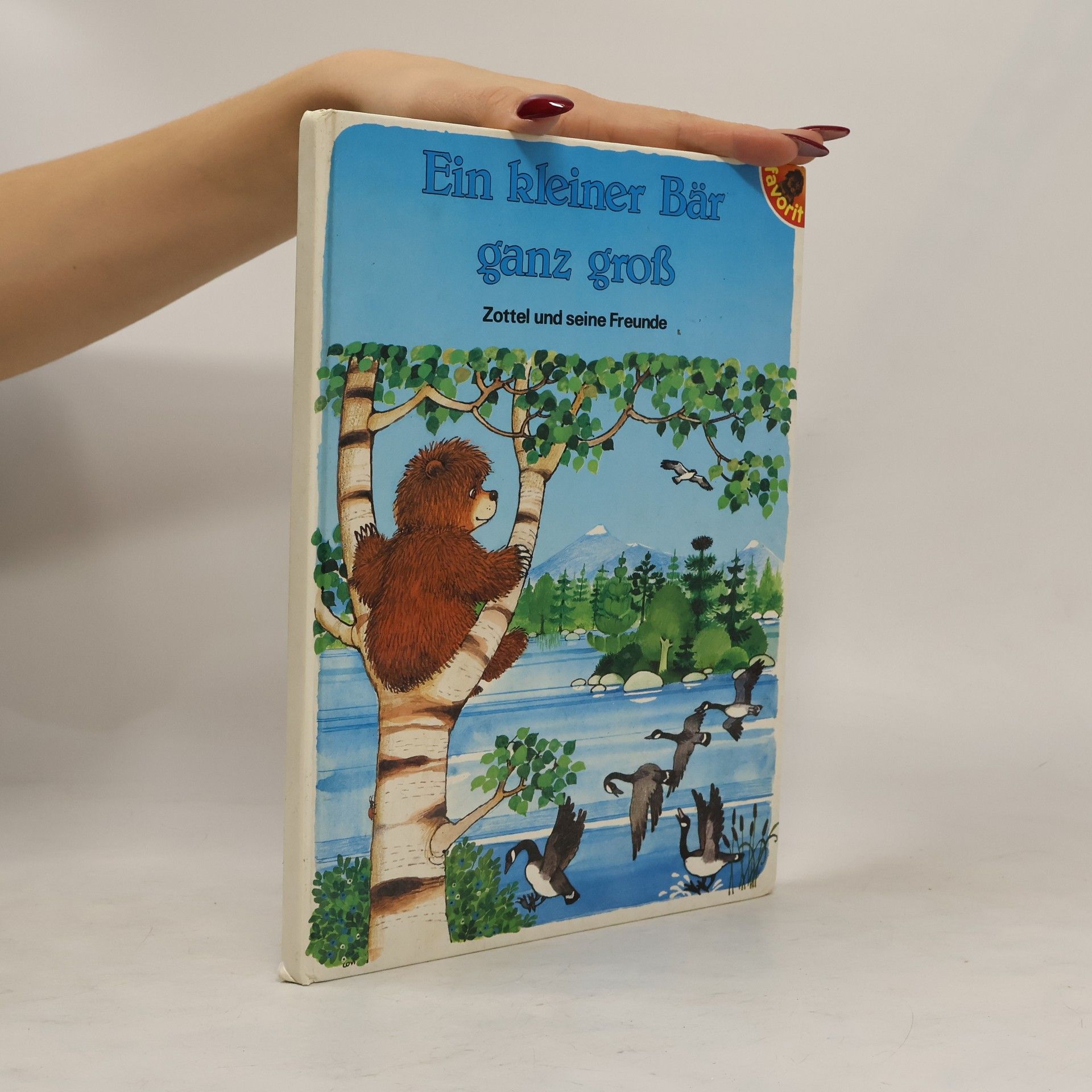 Collectif d'auteurs Ein kleiner Bär ganz groß