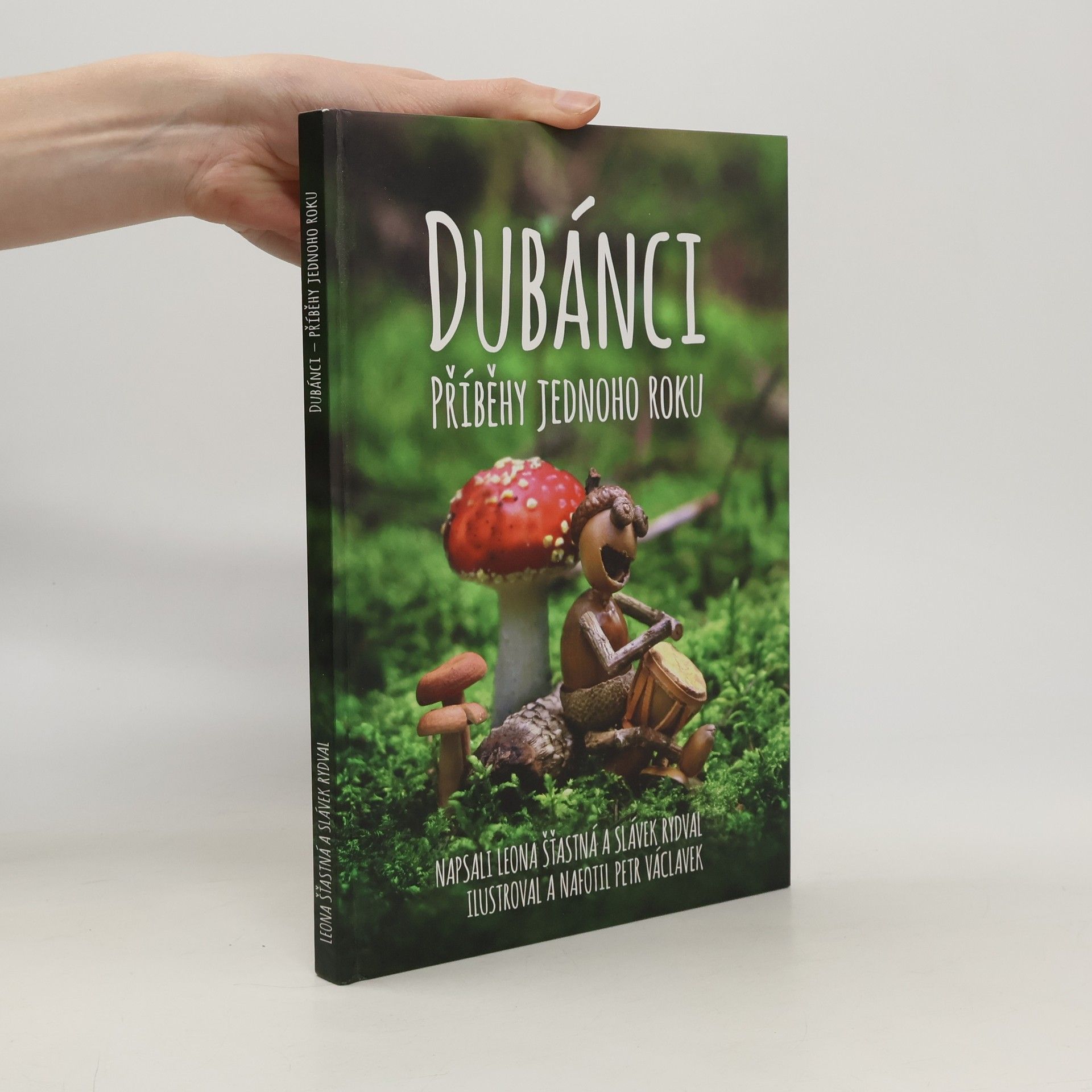 Dubánci: Příběhy jednoho roku