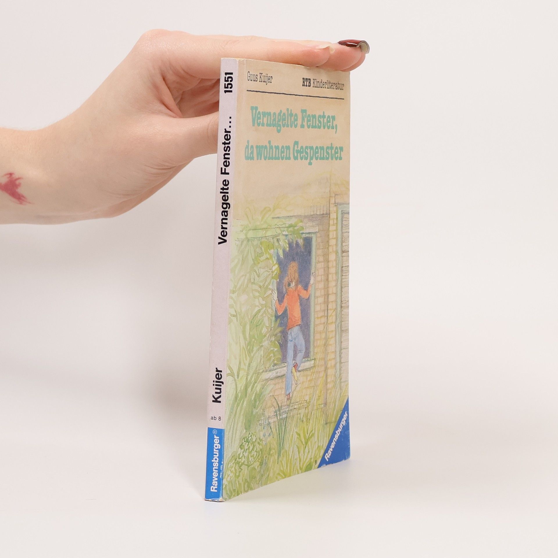 Guus Kuijer Vernagelte Fenster, da wohnen Gespenster