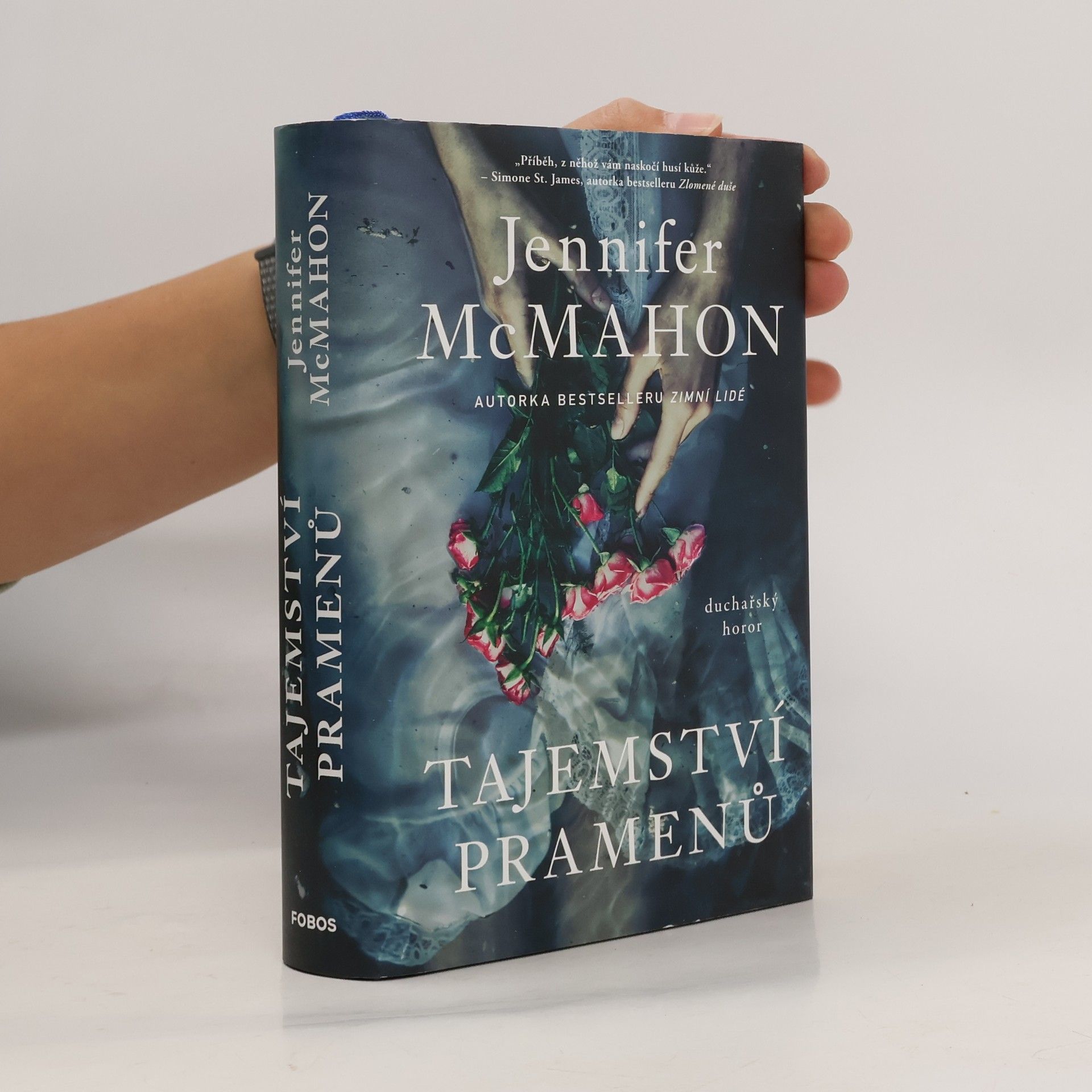 Jennifer McMahon Tajemství pramenů