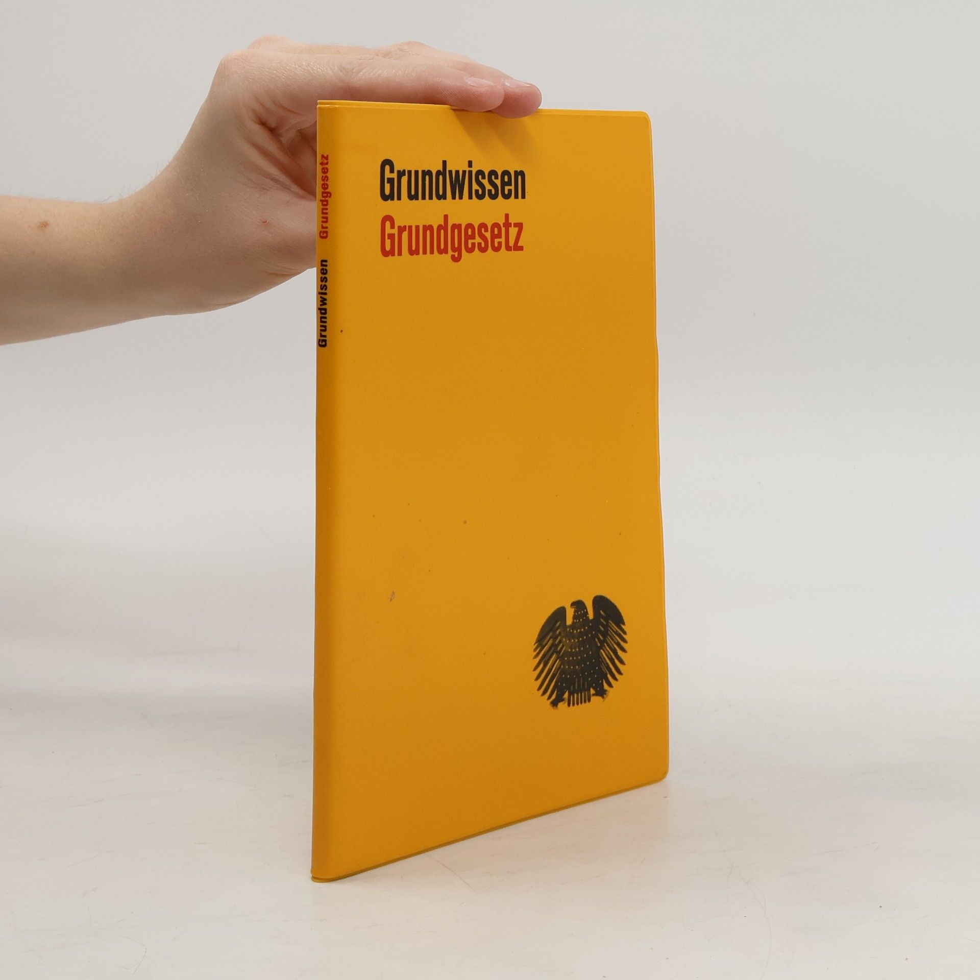 Grundwissen Grundgesetz