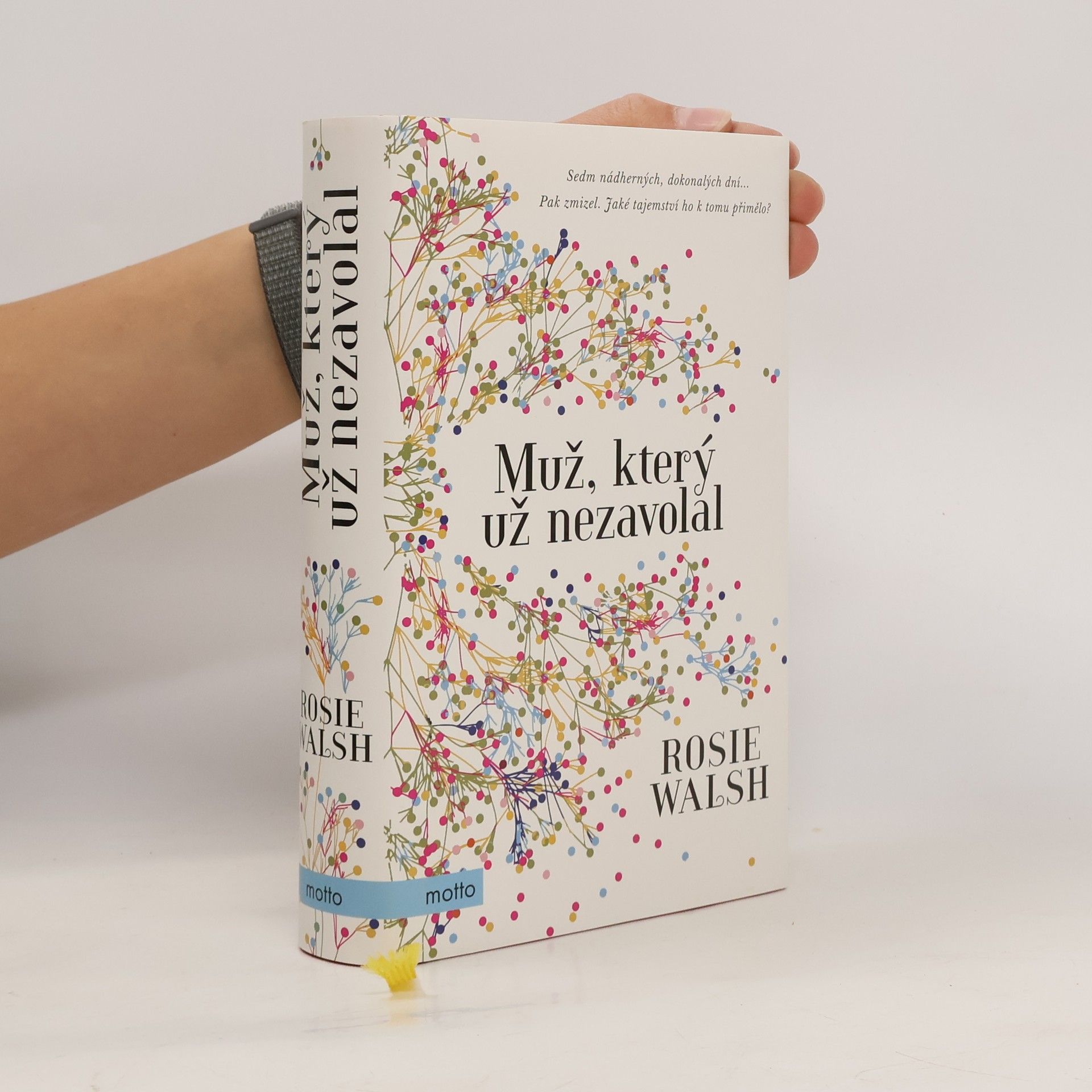 Rosie Walsh Muž, který už nezavolal