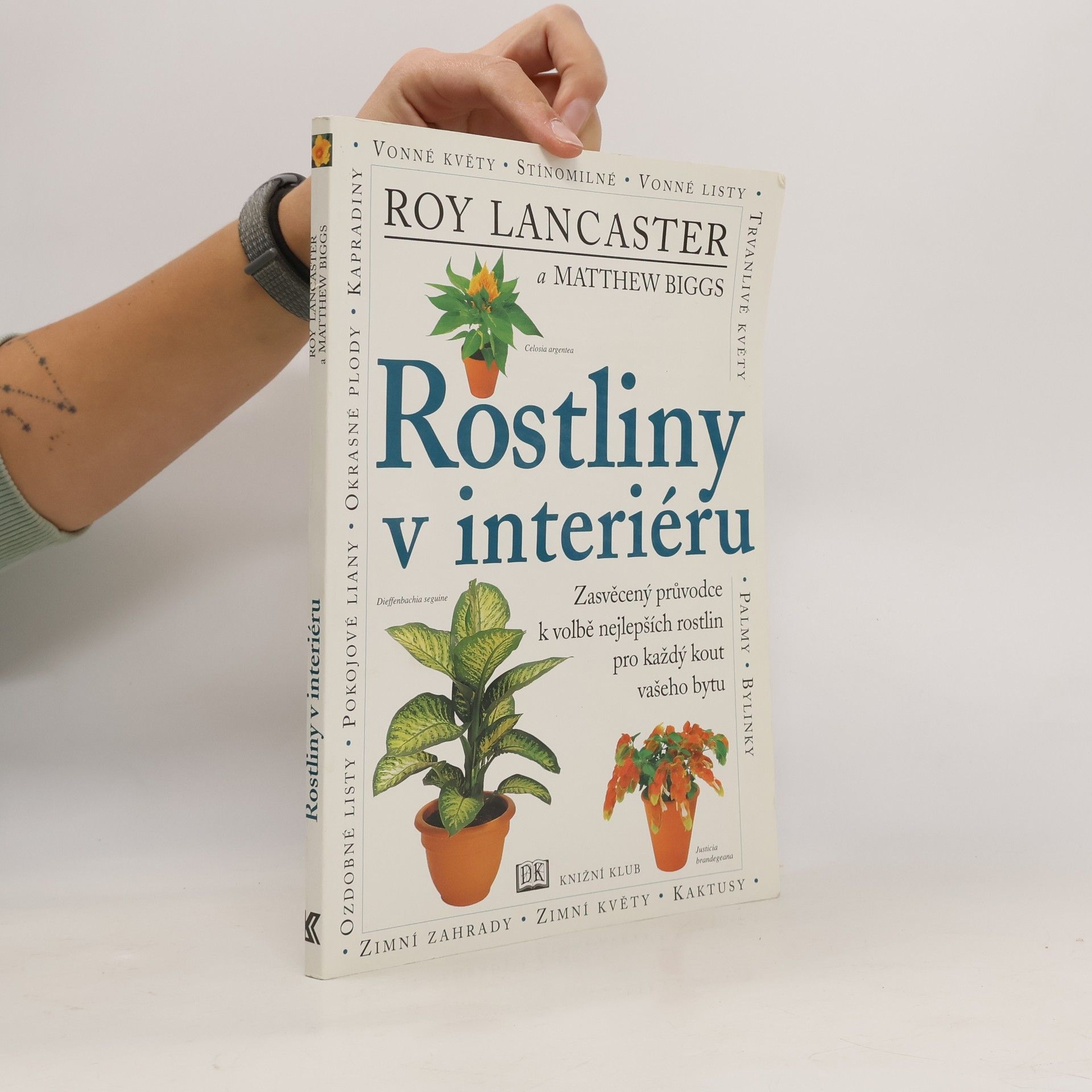 Rostliny v interiéru