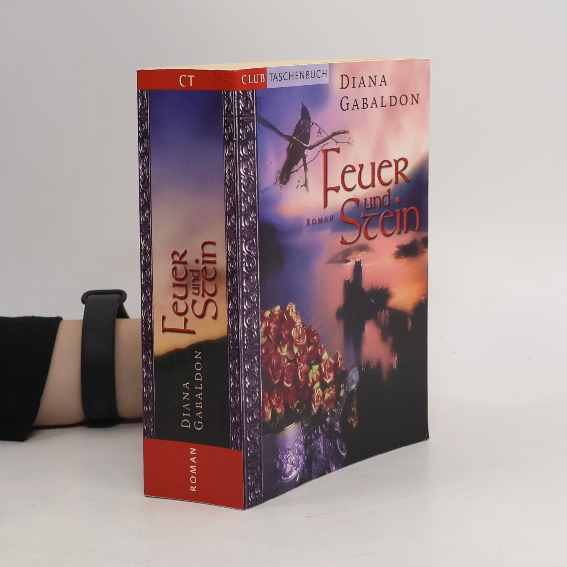 Diana Gabaldon Feuer und Stein