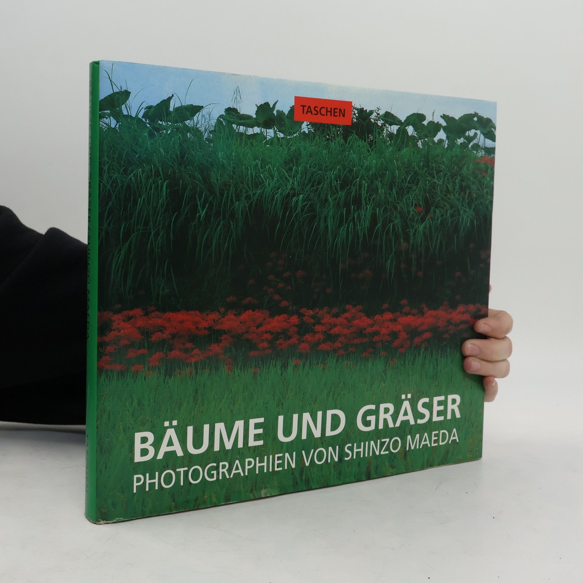 Shinzo Maeda Bäume und Gräser