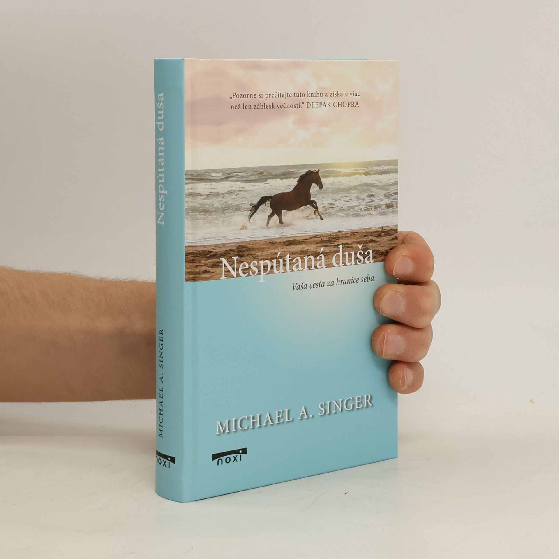 Michael A. Singer Nespútaná duša