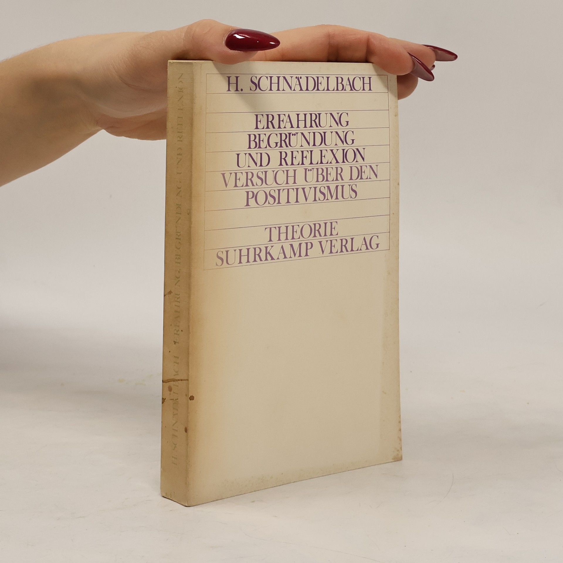 Erfahrung, Begründung und Reflexion. Versuch über den Positivismus