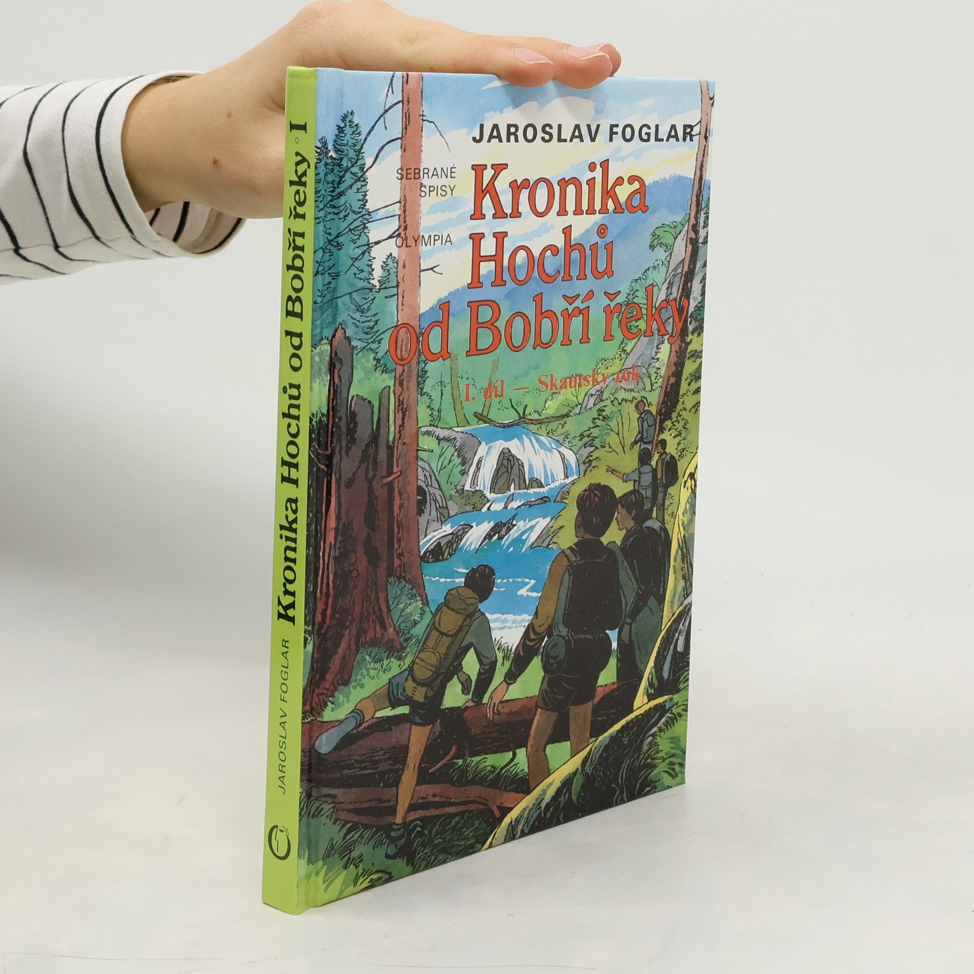 Marko Čermák Kronika hochů od Bobří řeky. I. díl, Skautský rok