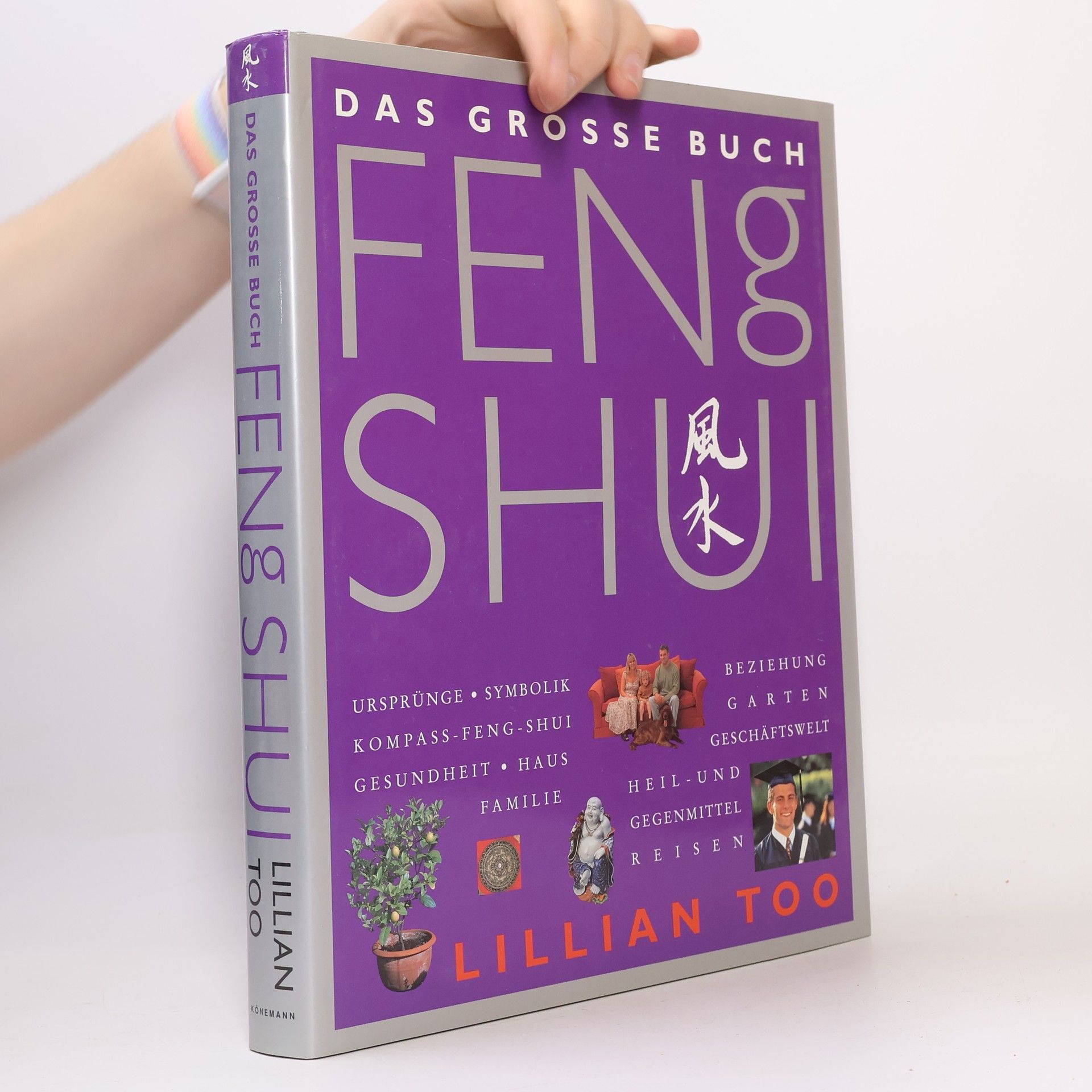 Das grosse Buch Feng Shui