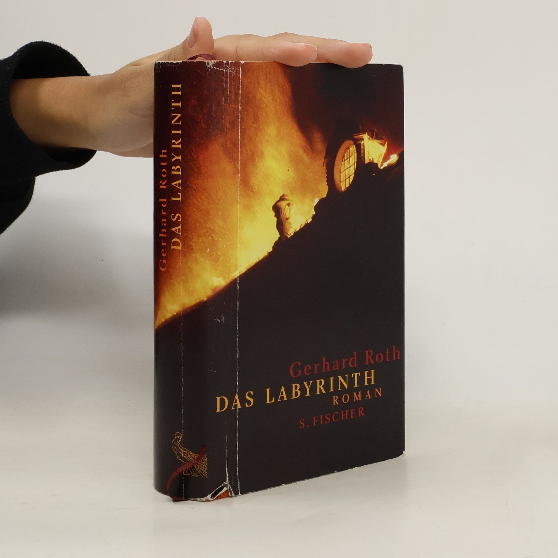 Gerhard Roth Das Labyrinth