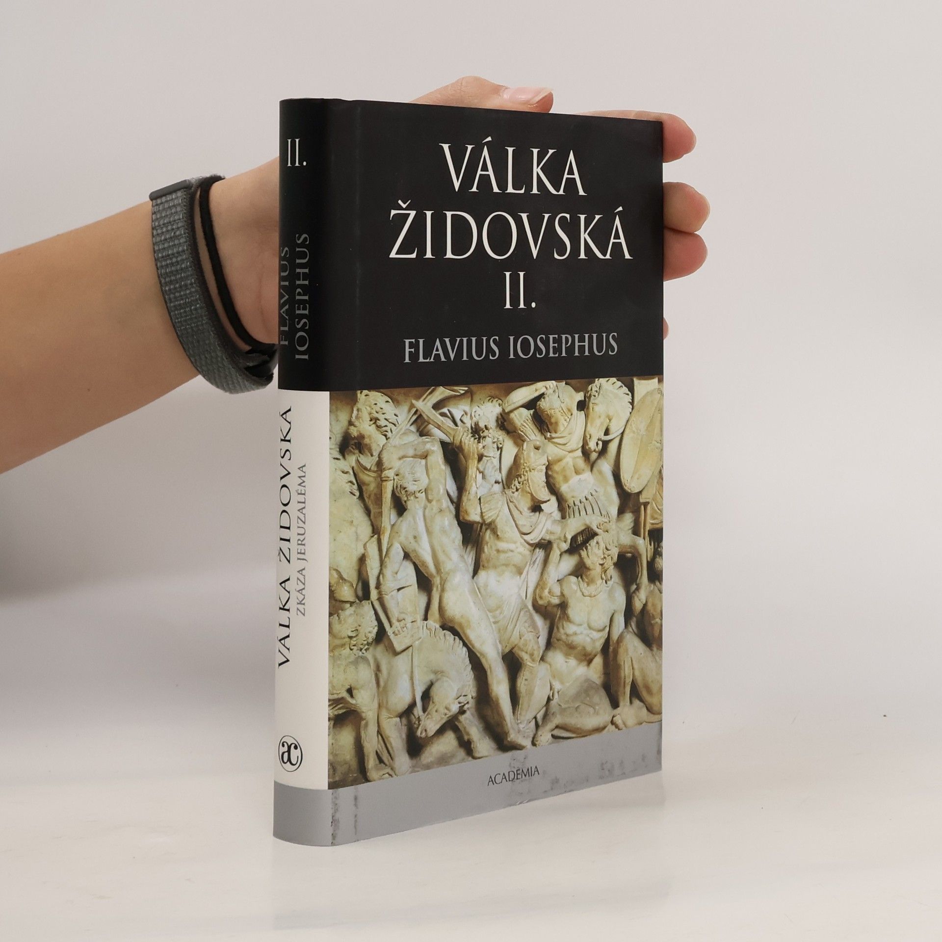 Válka židovská II.