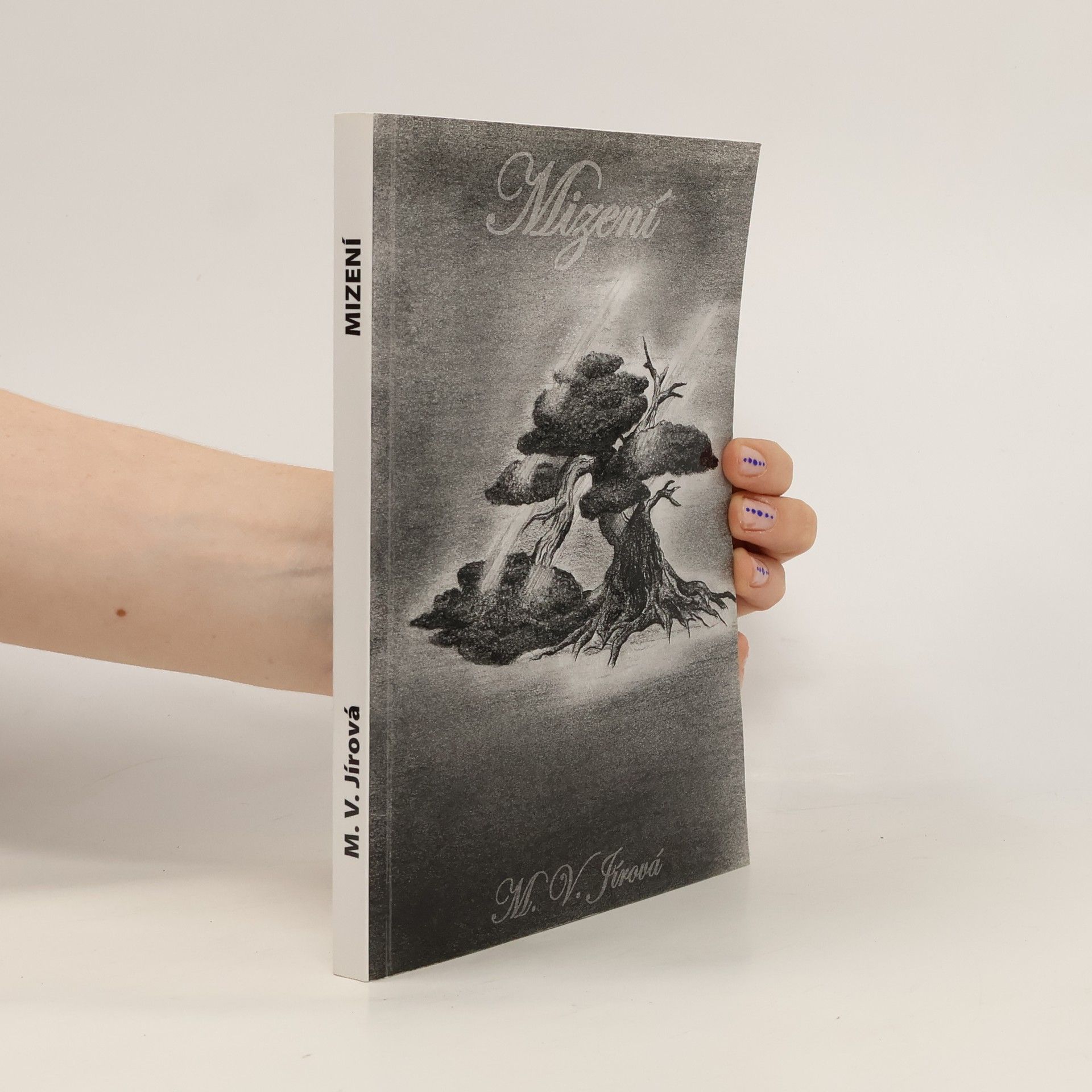 Michaela Jírová Mizení