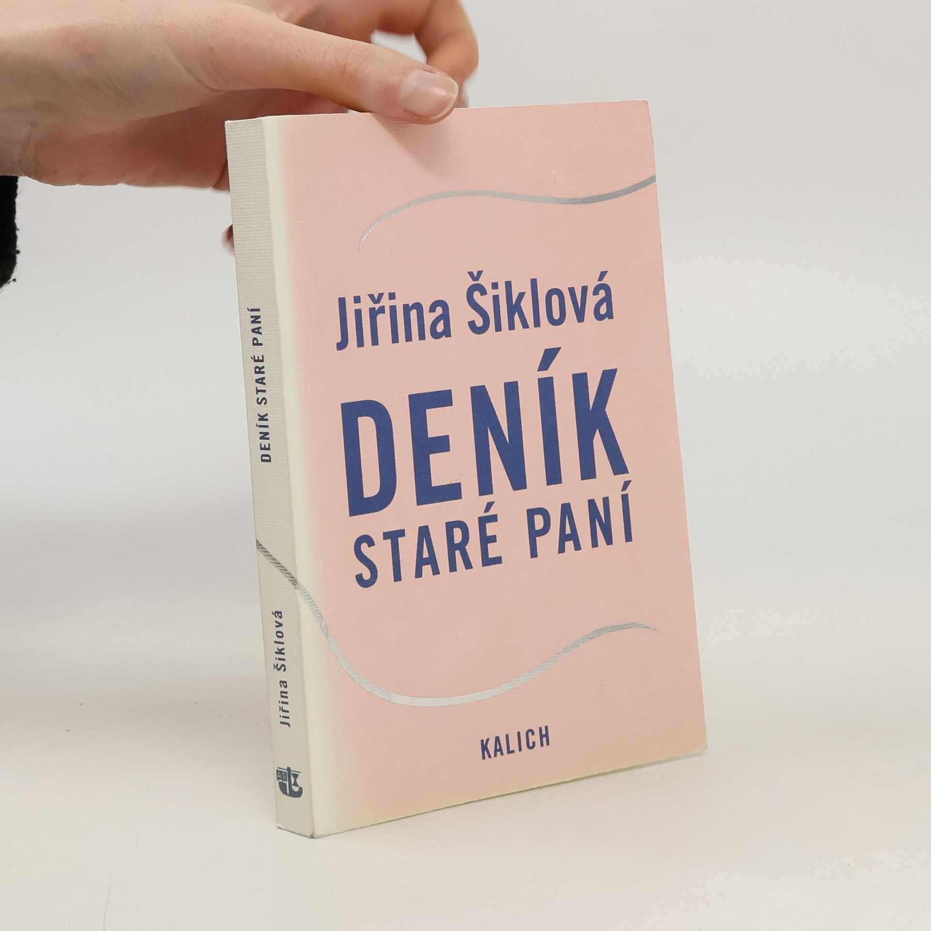 Jiřina Šiklová Deník staré paní