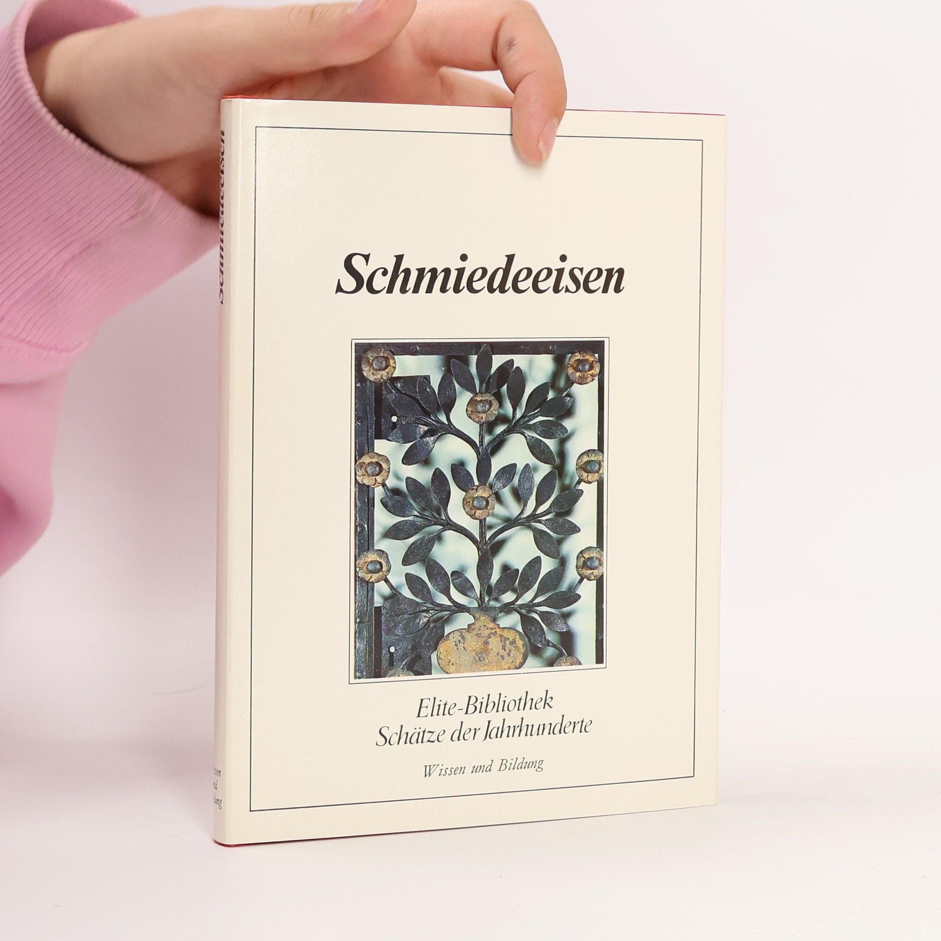 Autorenkollektiv Schmiedeeisen