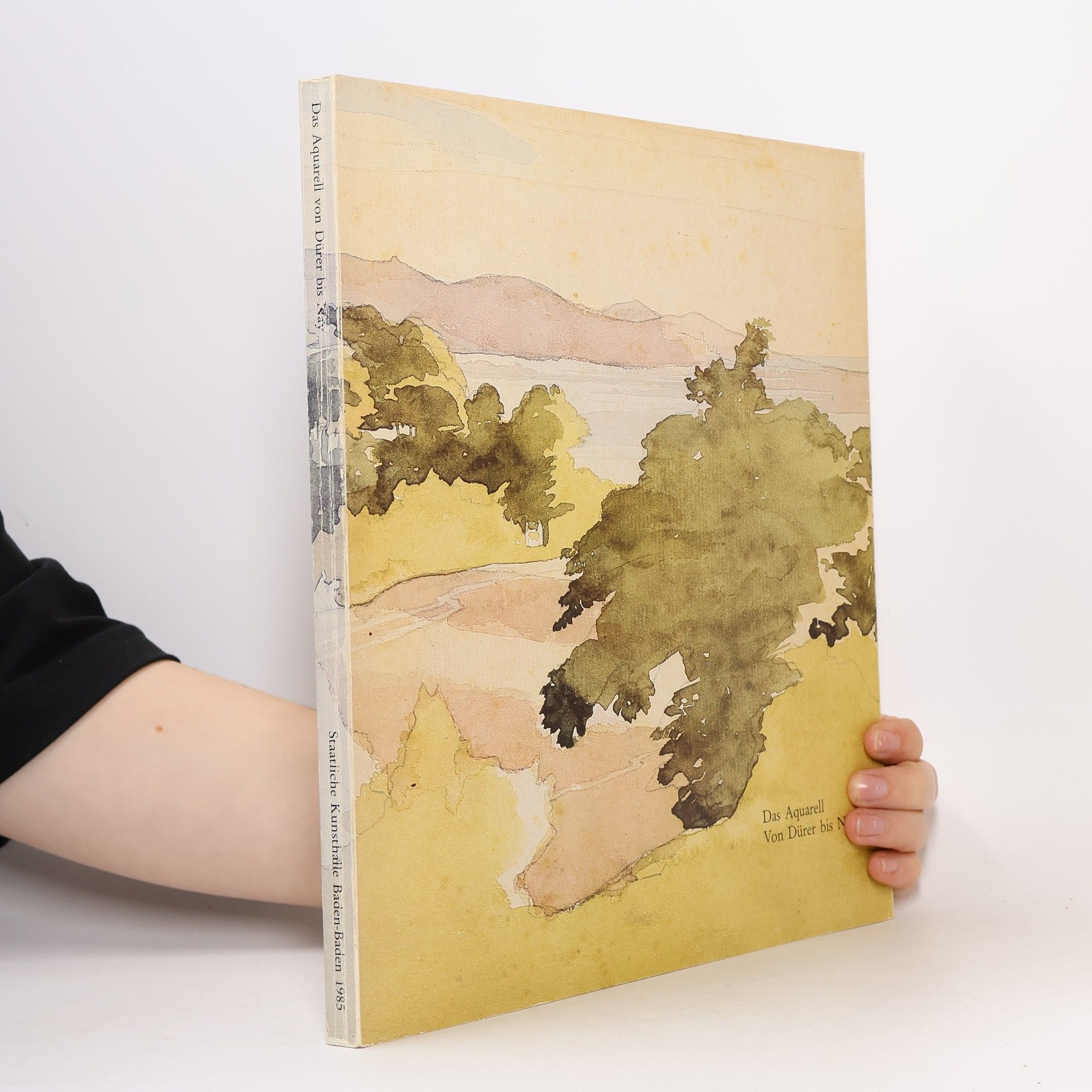 Collectif d'auteurs Das Aquarell Von Dürer bis Nay