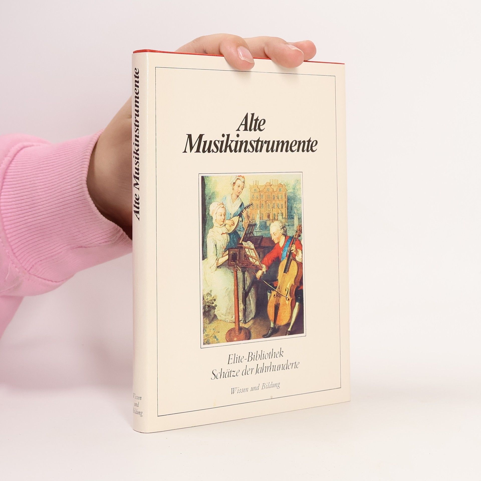 Alte Musikinstrumente