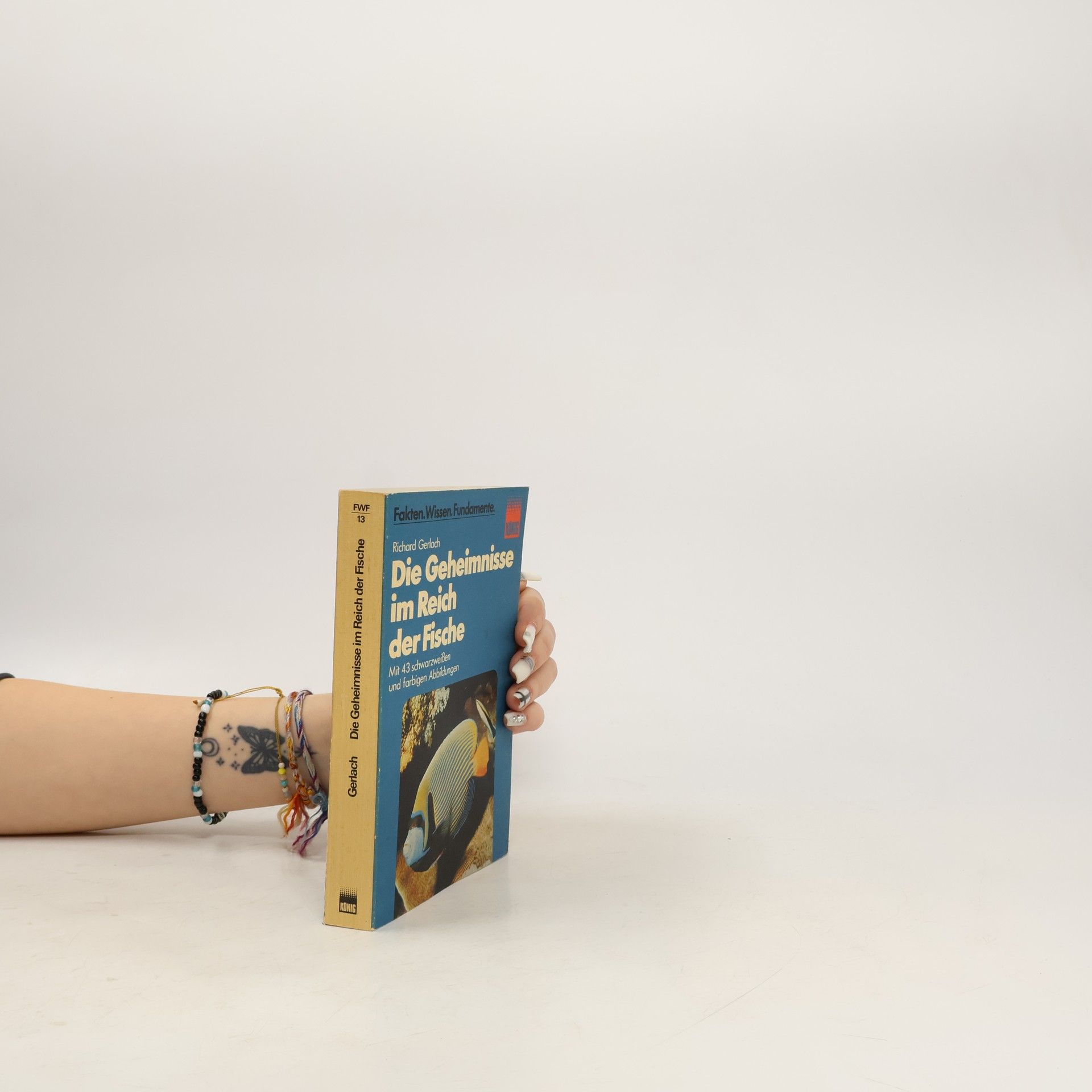 Richard Gerlach Die Geheimnisse im Reich der Fische