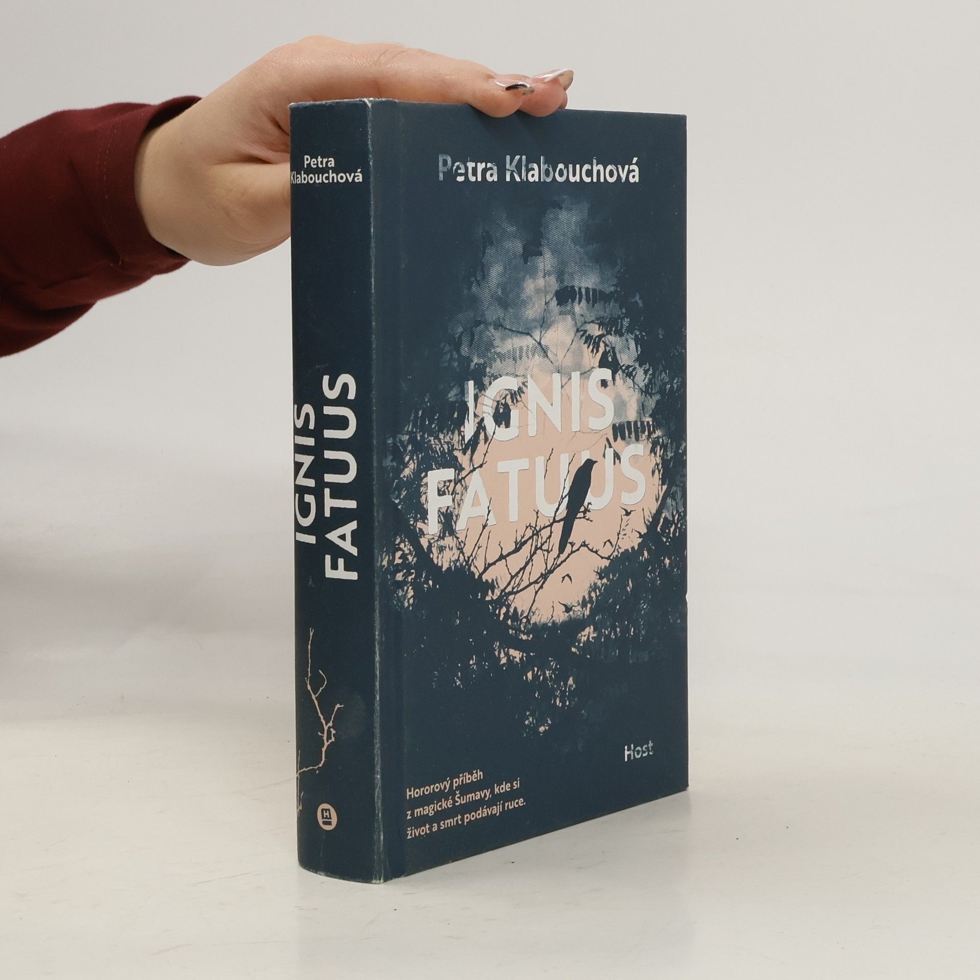 Petra Klabouchová Ignis Fatuus