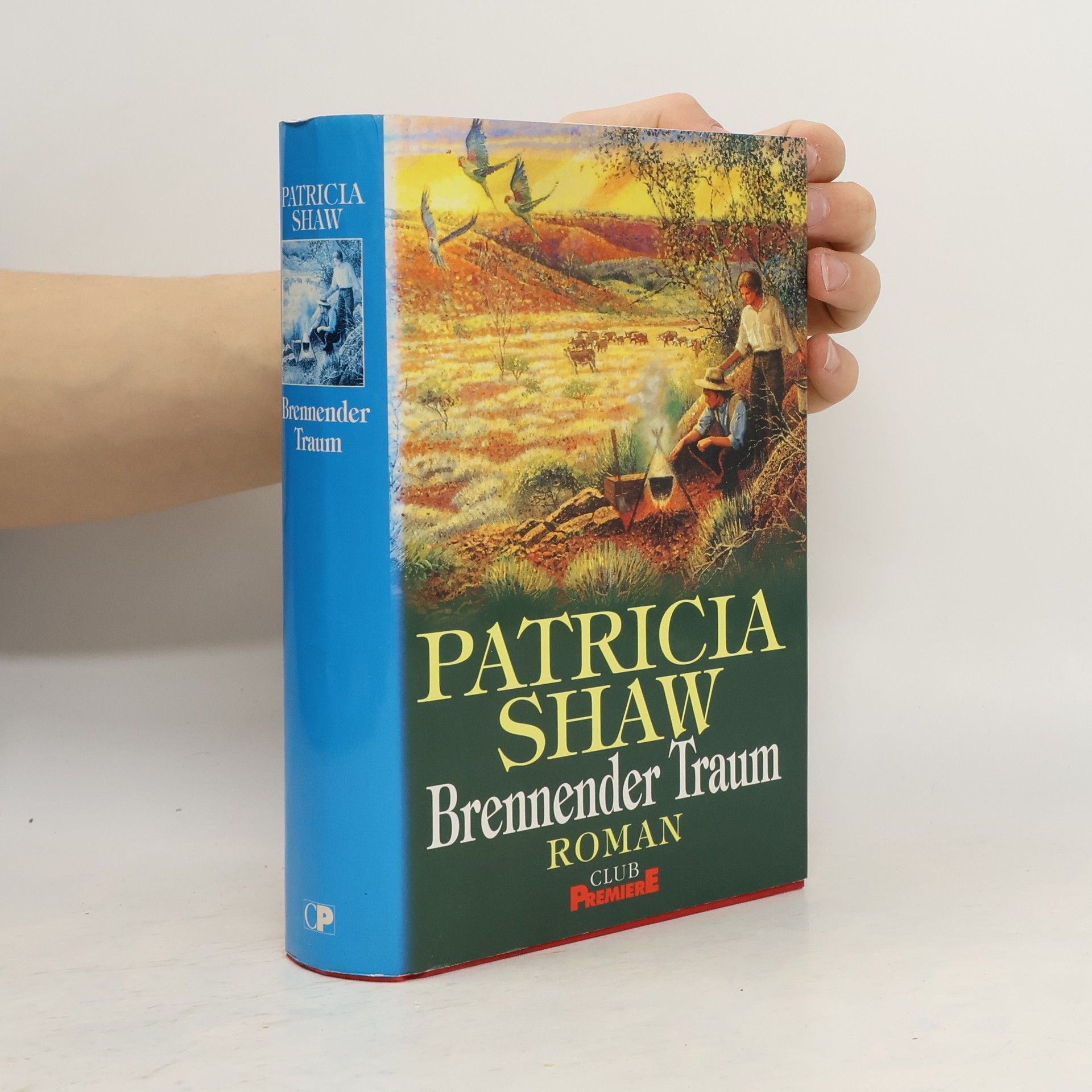 Patricia Shaw Brennender Traum