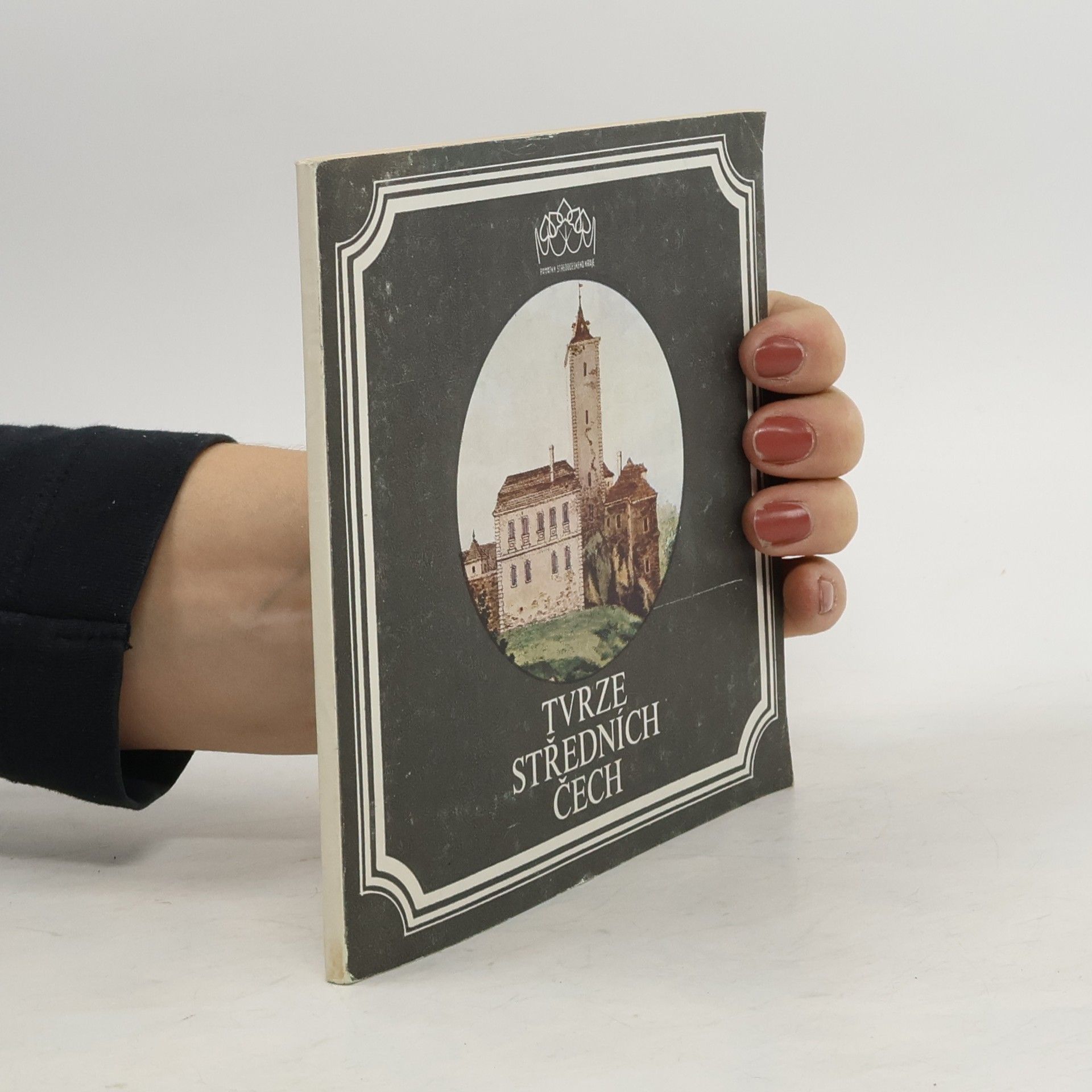 František Kašička Tvrze středních Čech